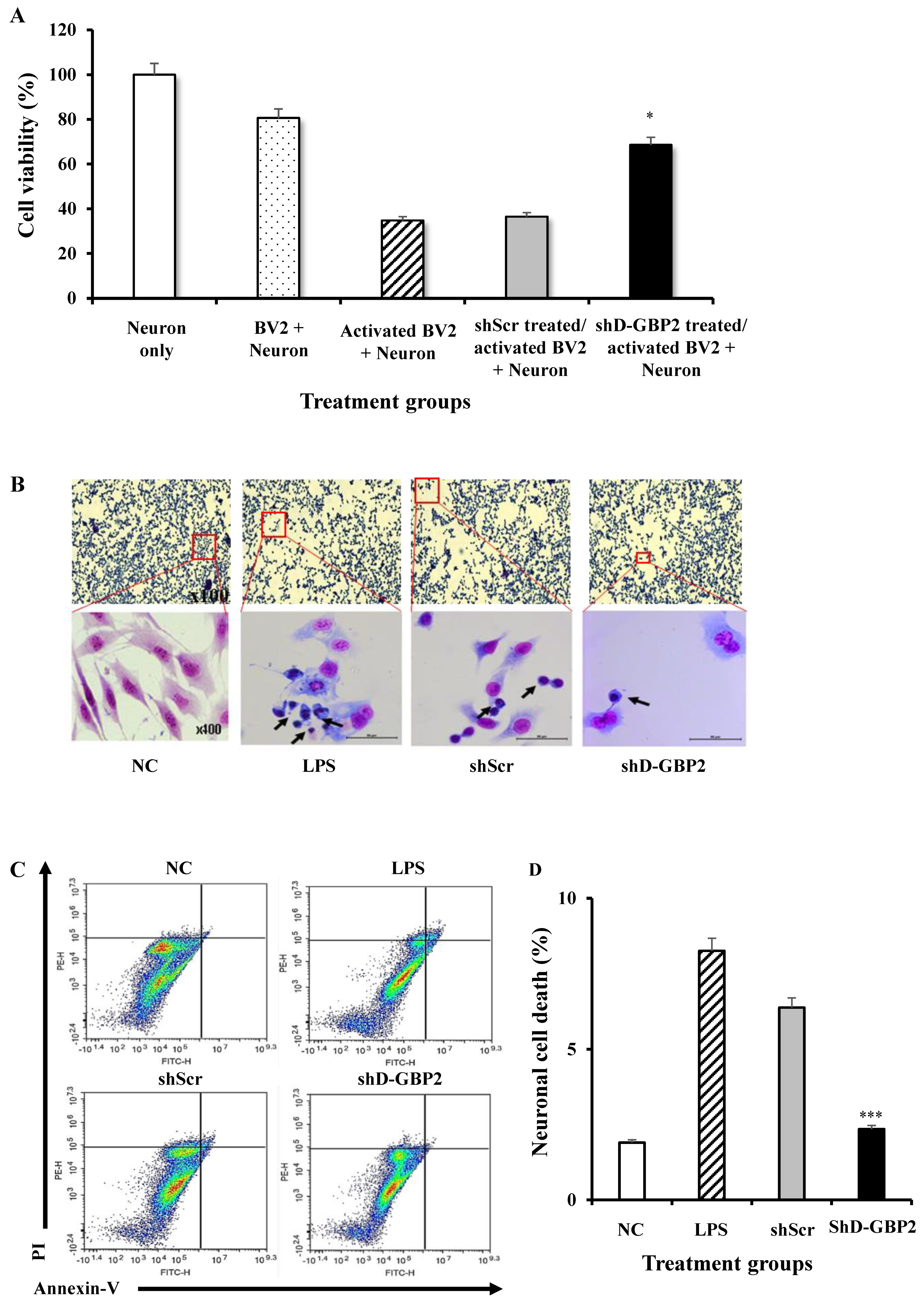 Biomedicines 12 01130 g008