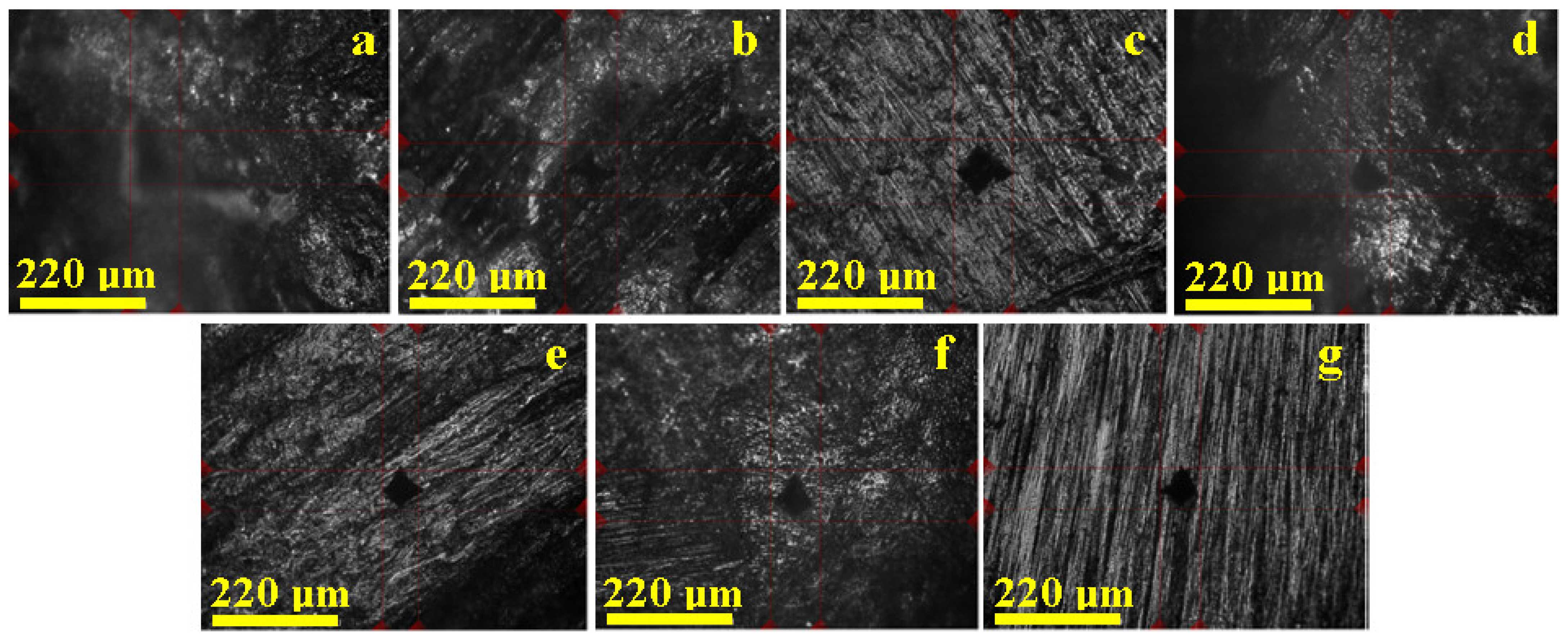 Biomedicines 12 01132 g001 Biomedicines 12 01132 g001