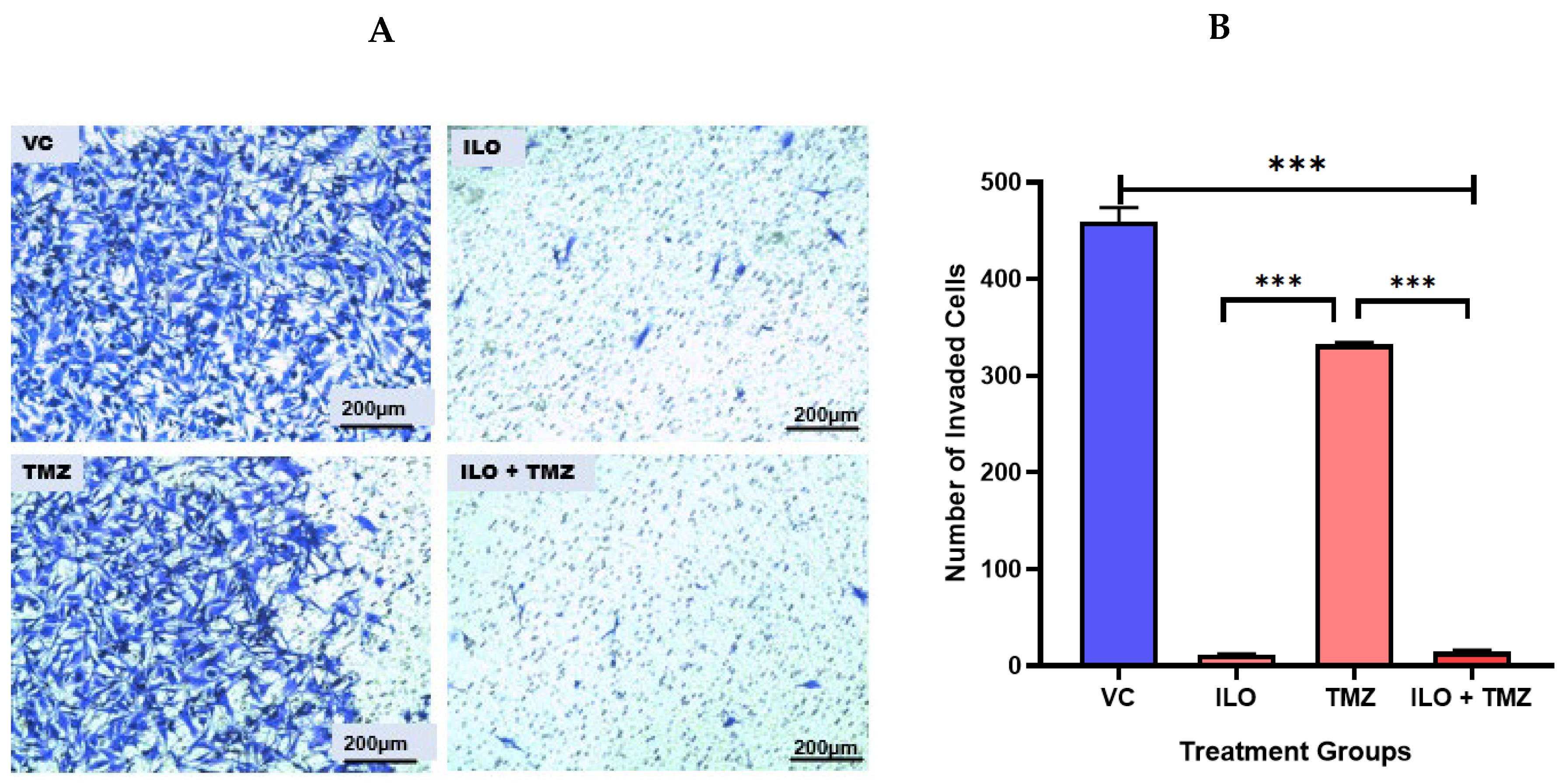Biomedicines 12 01134 g004