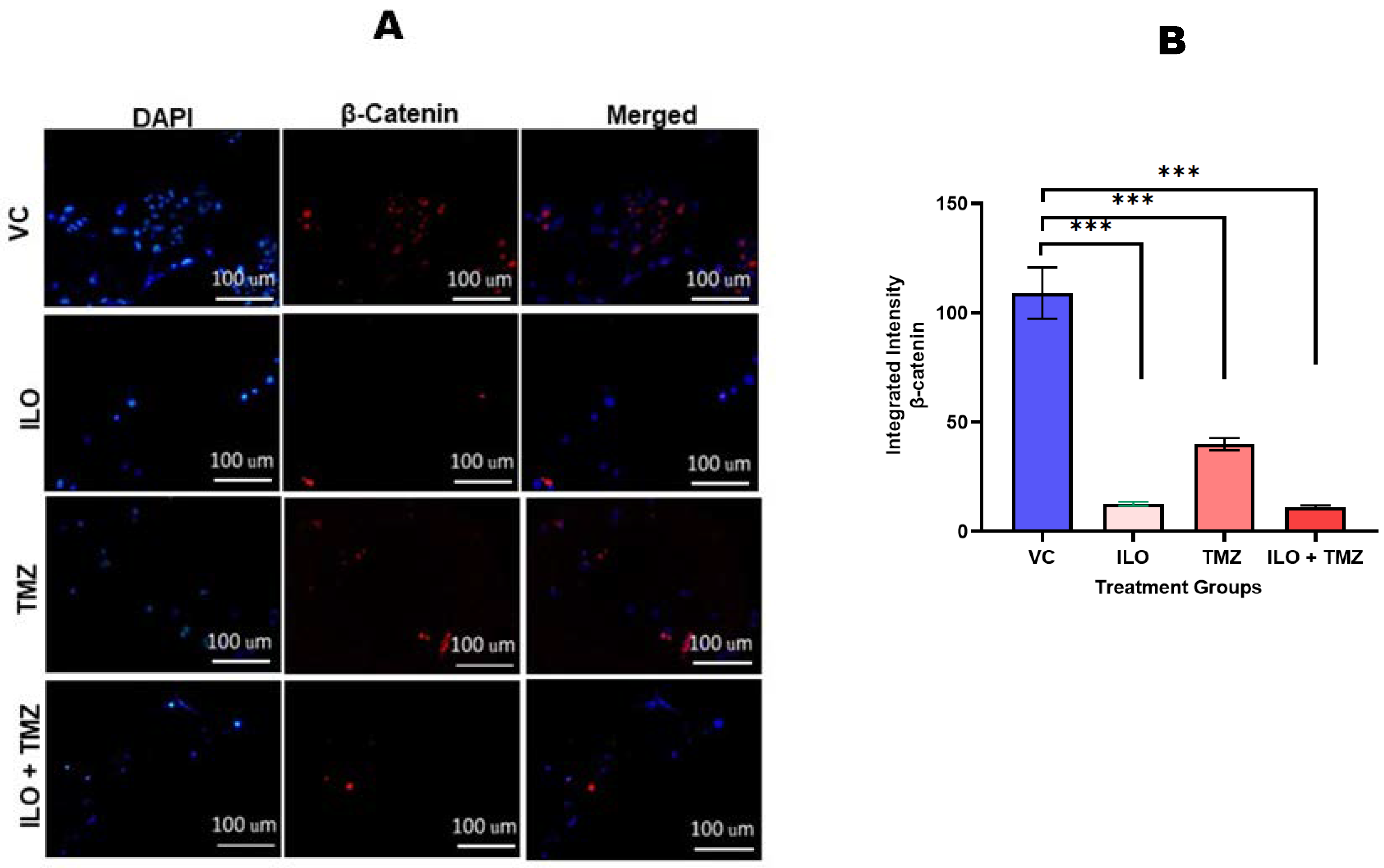 Biomedicines 12 01134 g006