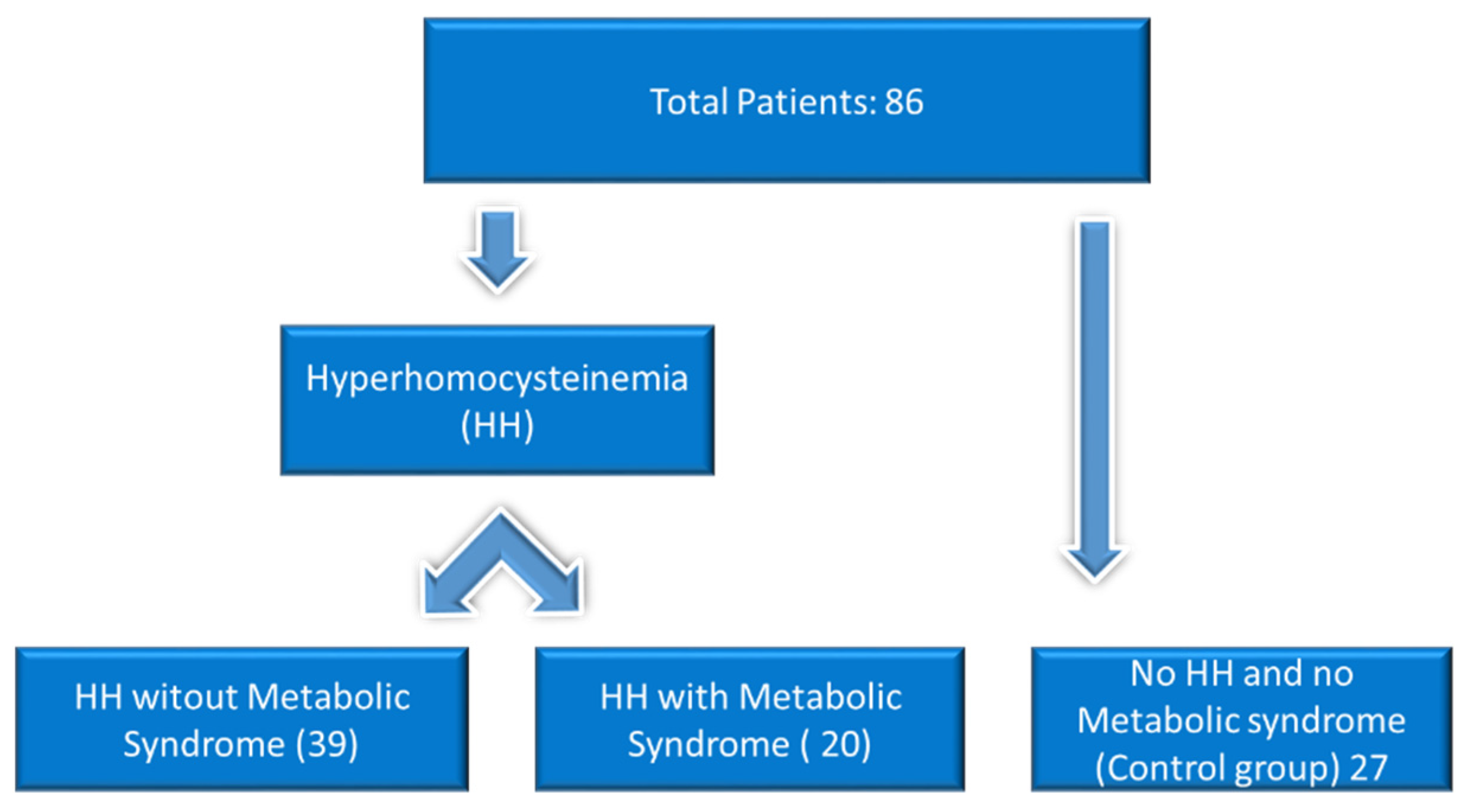 Biomedicines 12 01135 g001