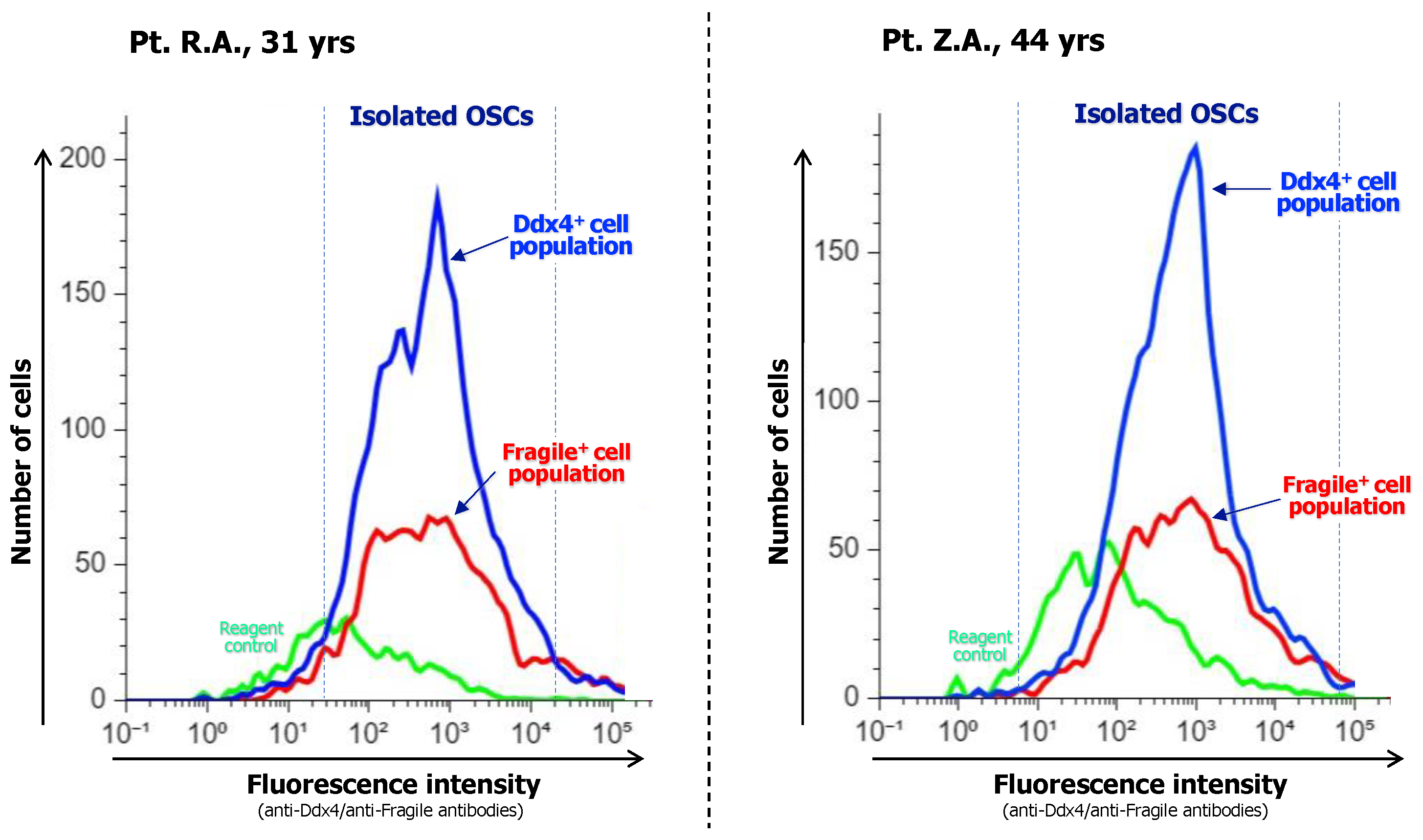 Biomedicines 12 01139 g002