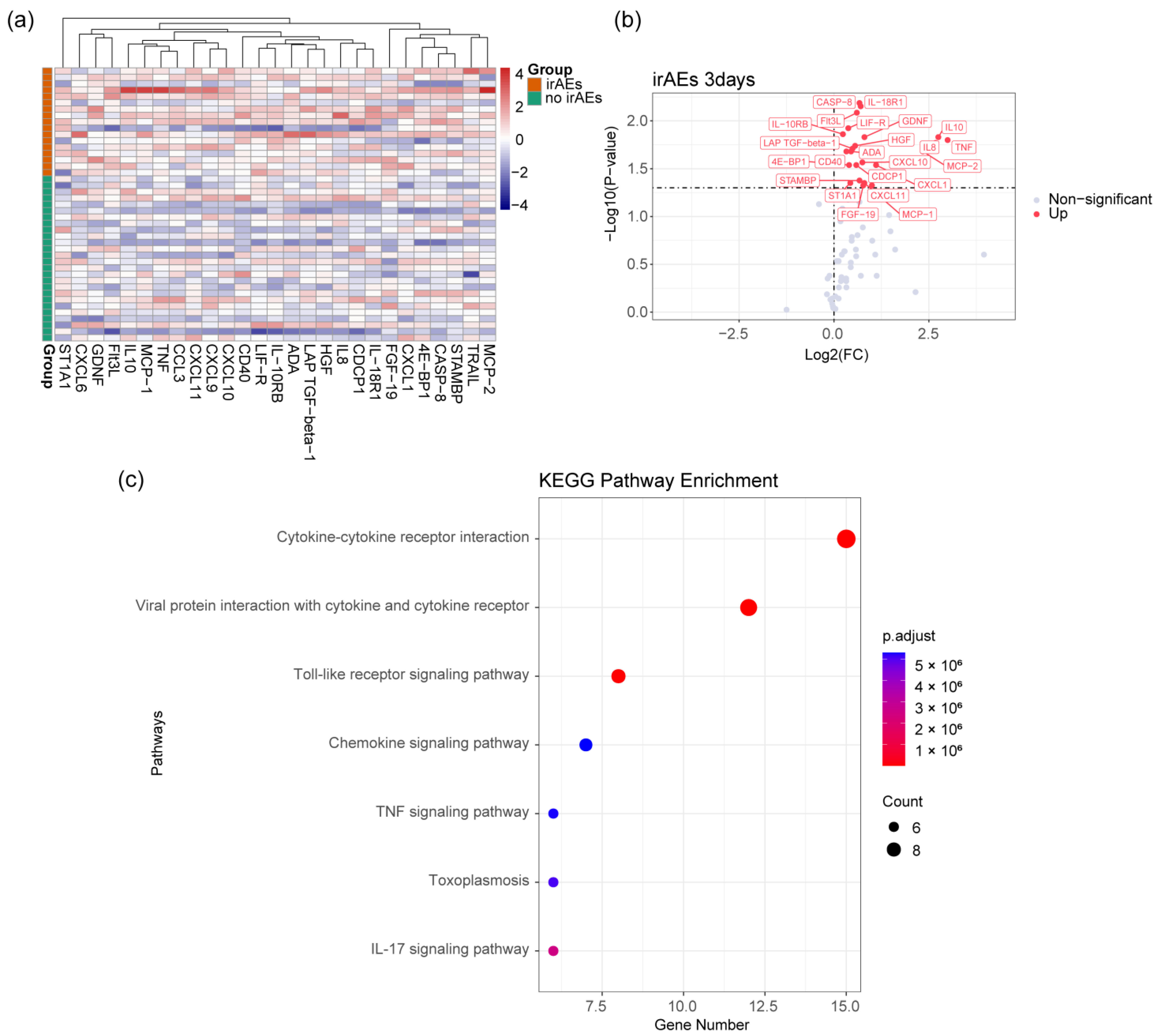 Biomedicines 12 01140 g002