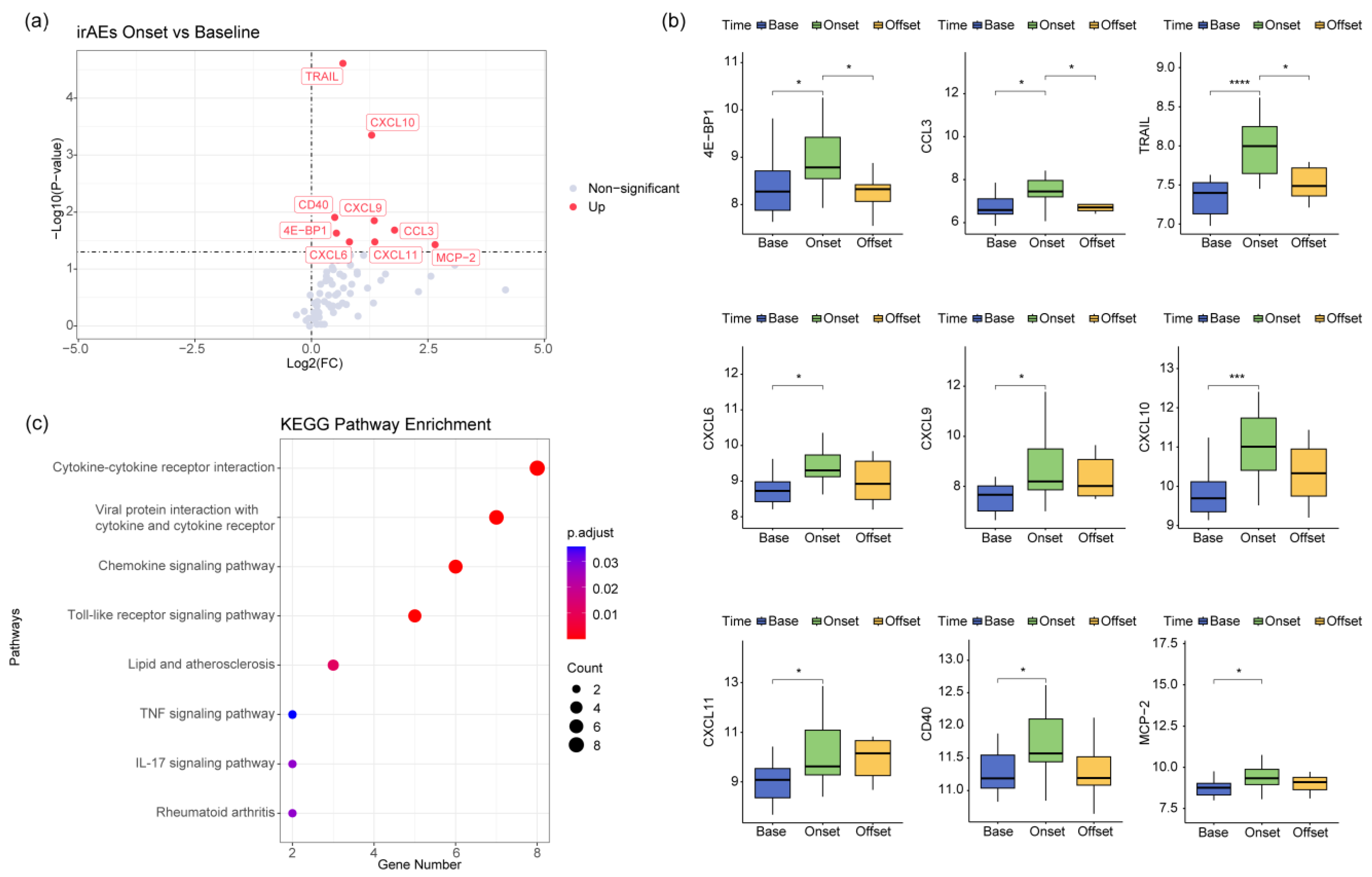 Biomedicines 12 01140 g003