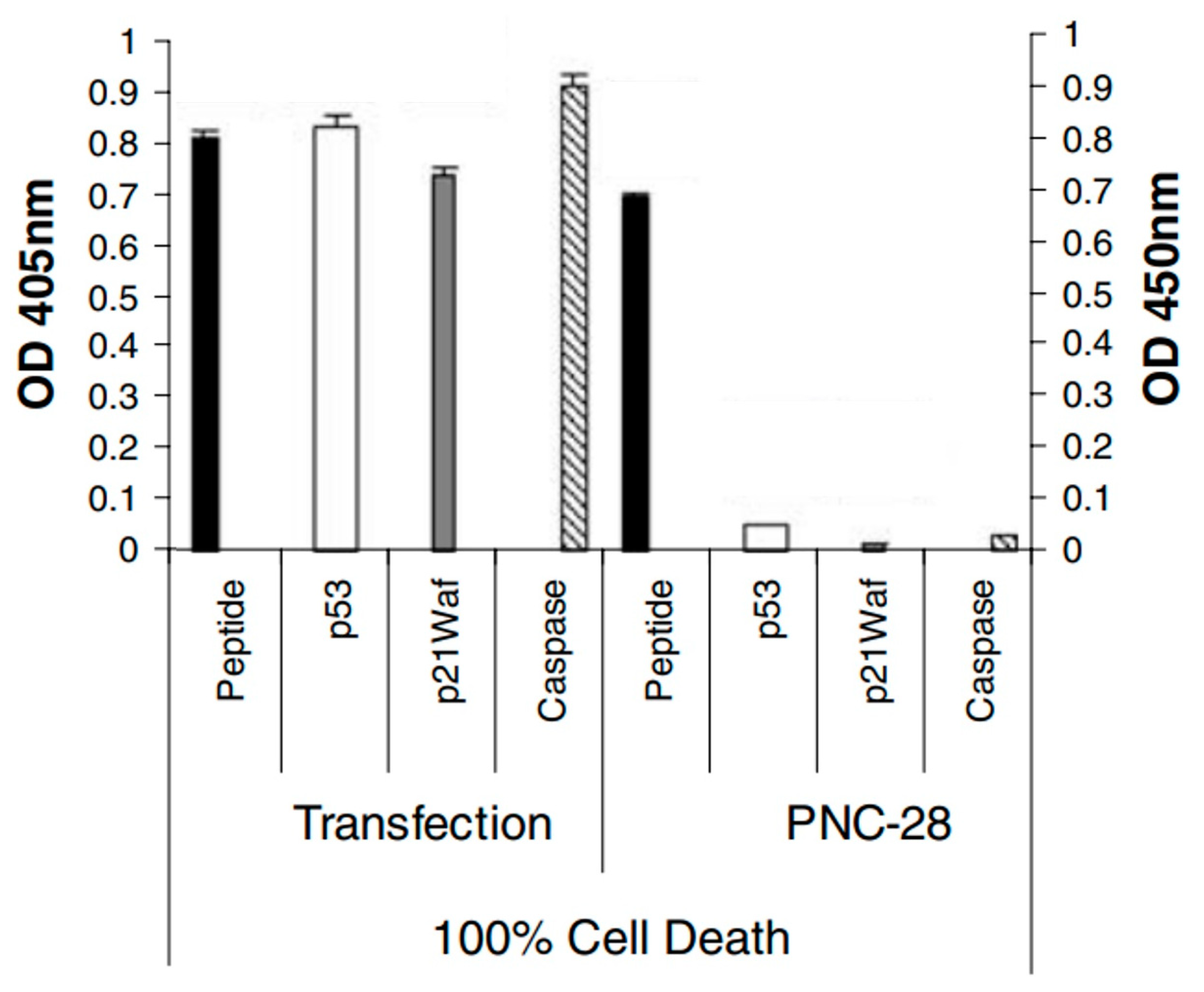 Biomedicines 12 01144 g002
