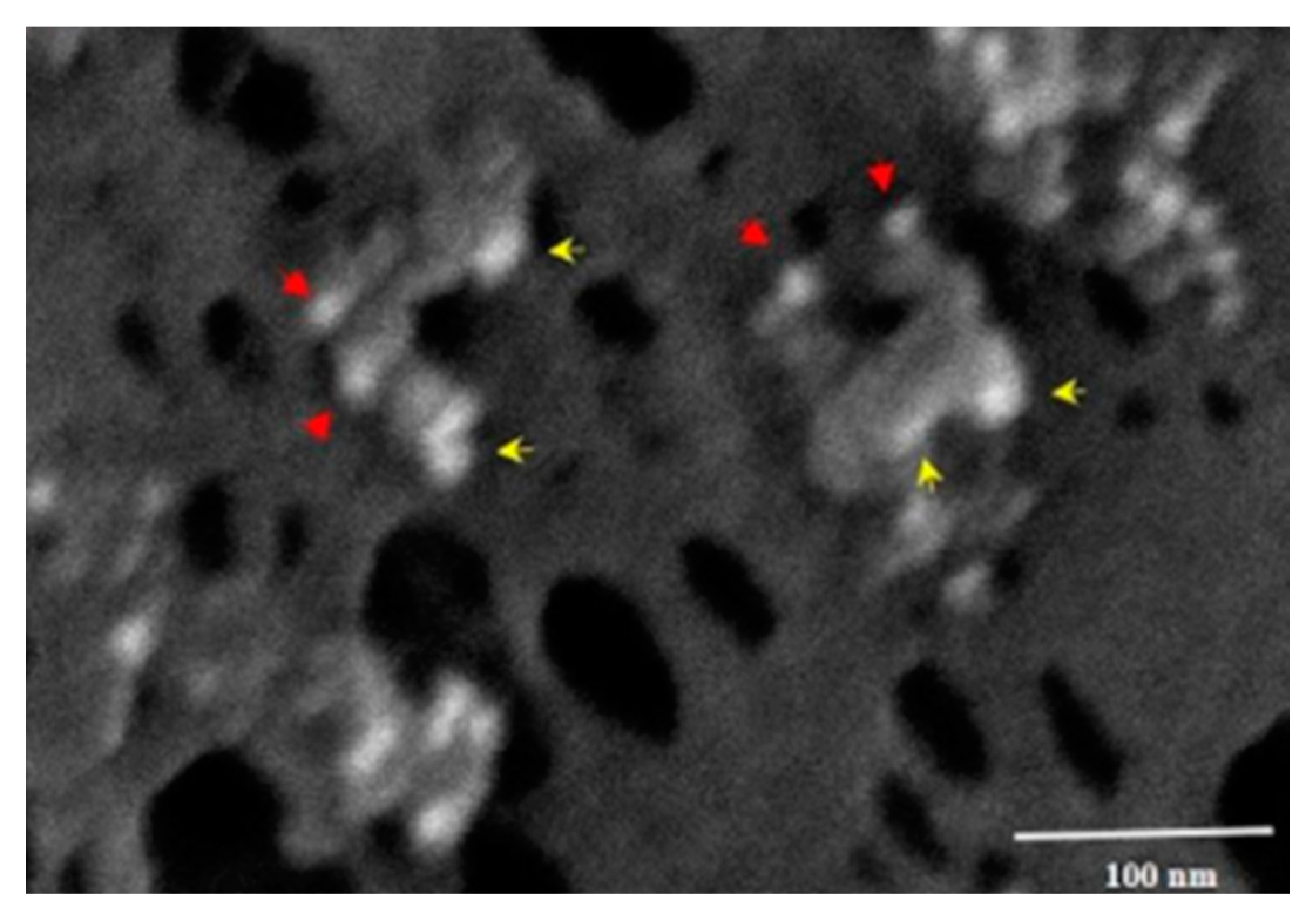 Biomedicines 12 01144 g007
