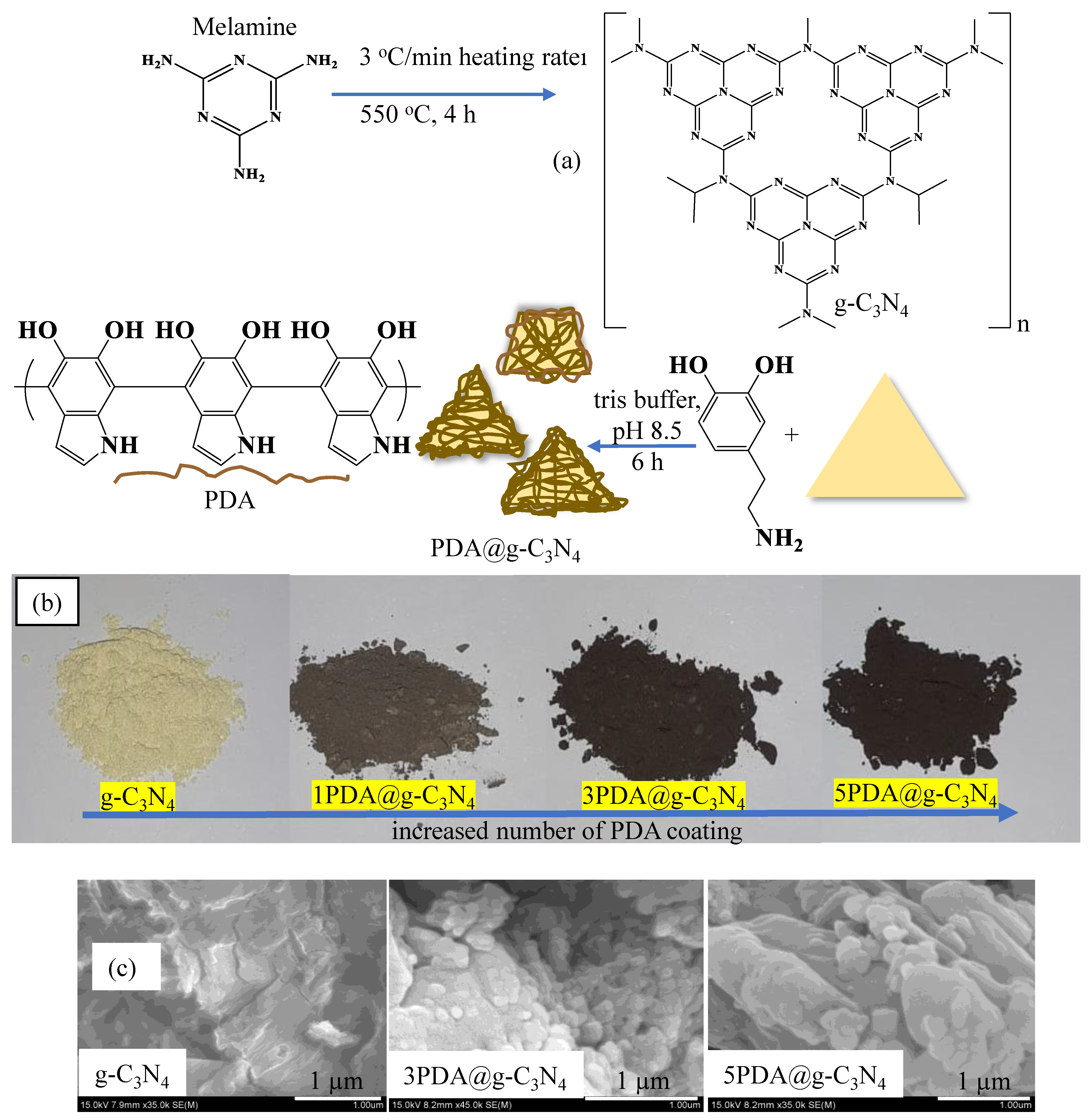 Biomedicines 12 01151 g001