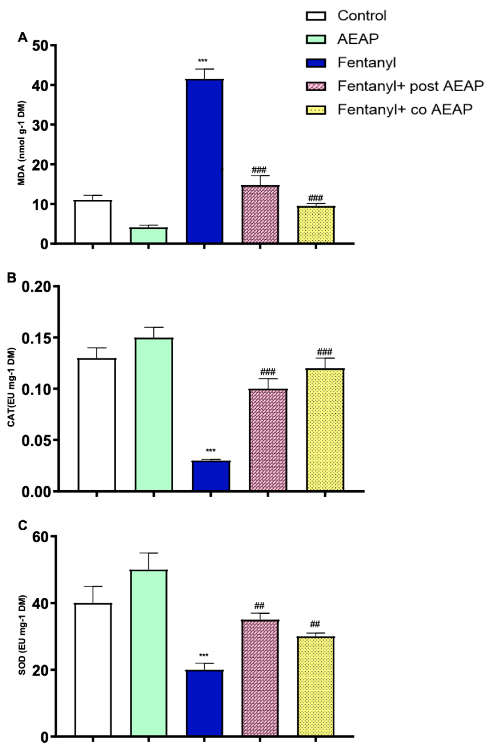 Biomedicines 12 01152 g006
