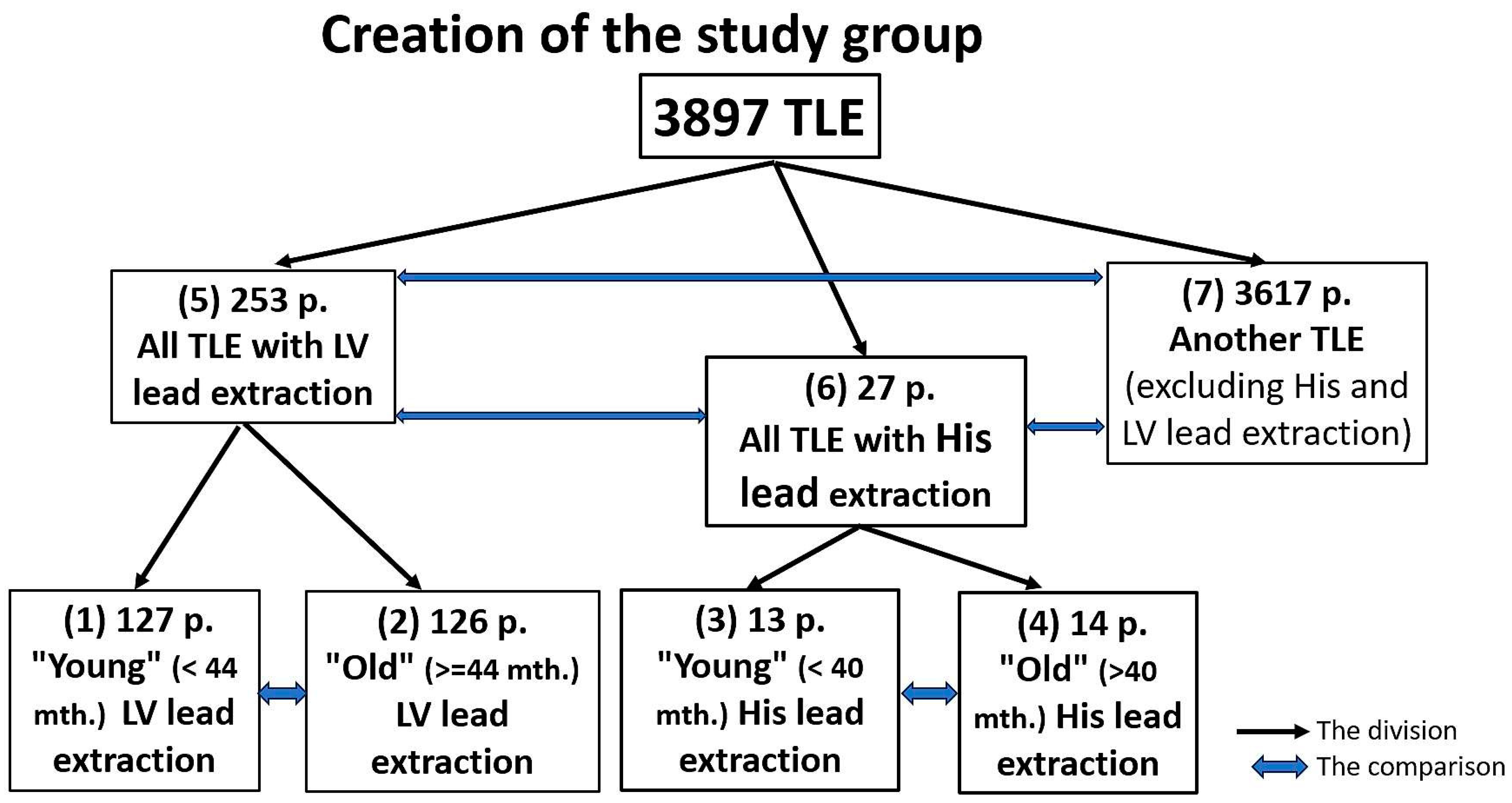 Biomedicines 12 01154 g003