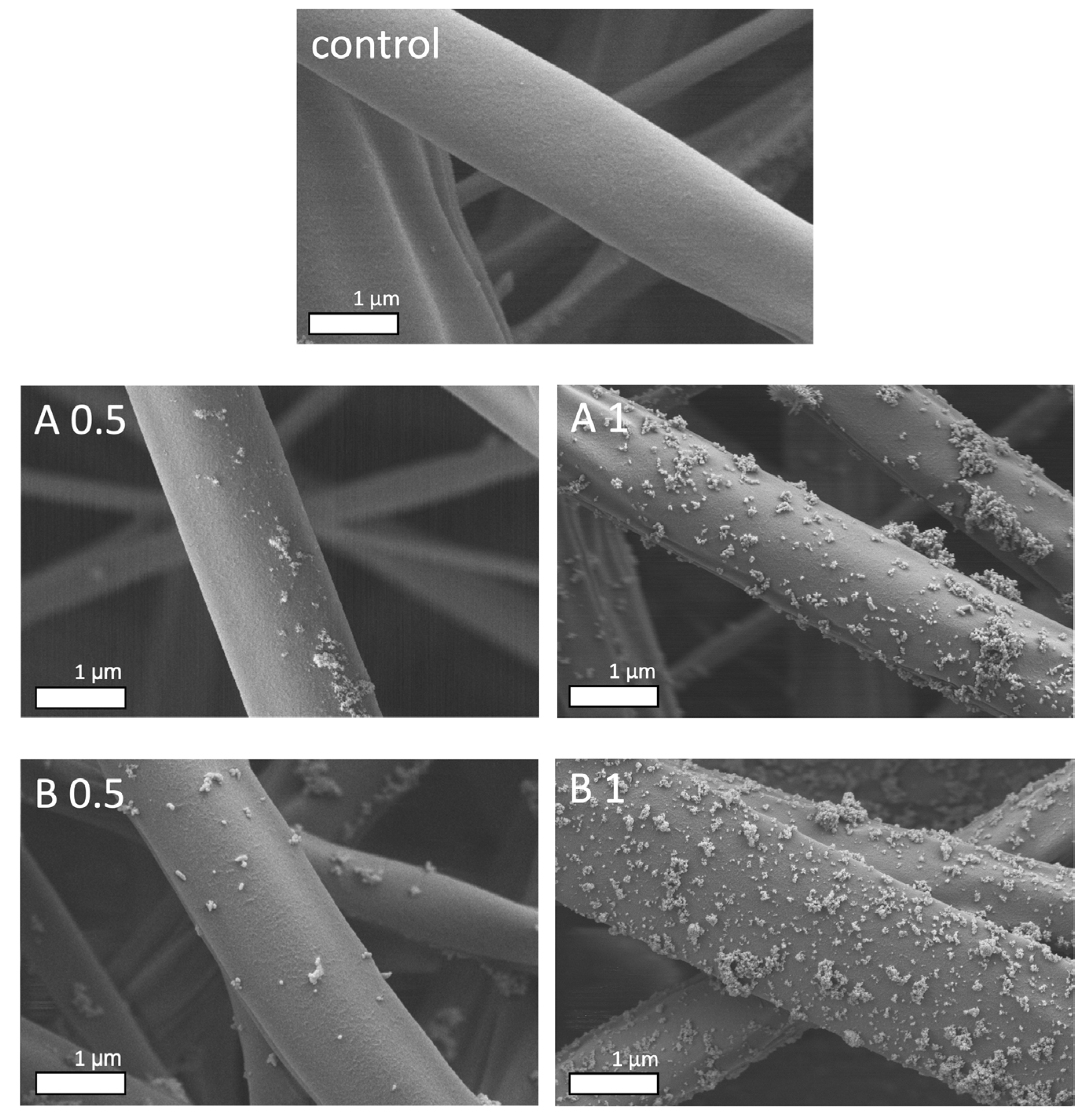 Biomedicines 12 01155 g003