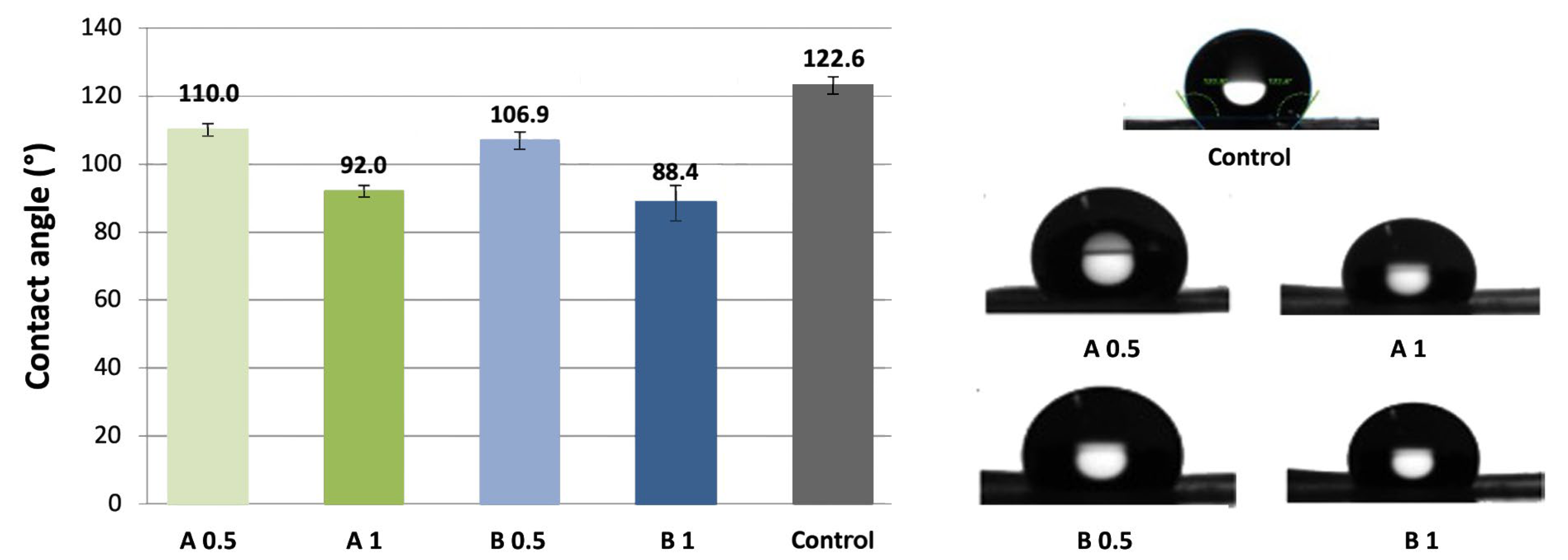 Biomedicines 12 01155 g005