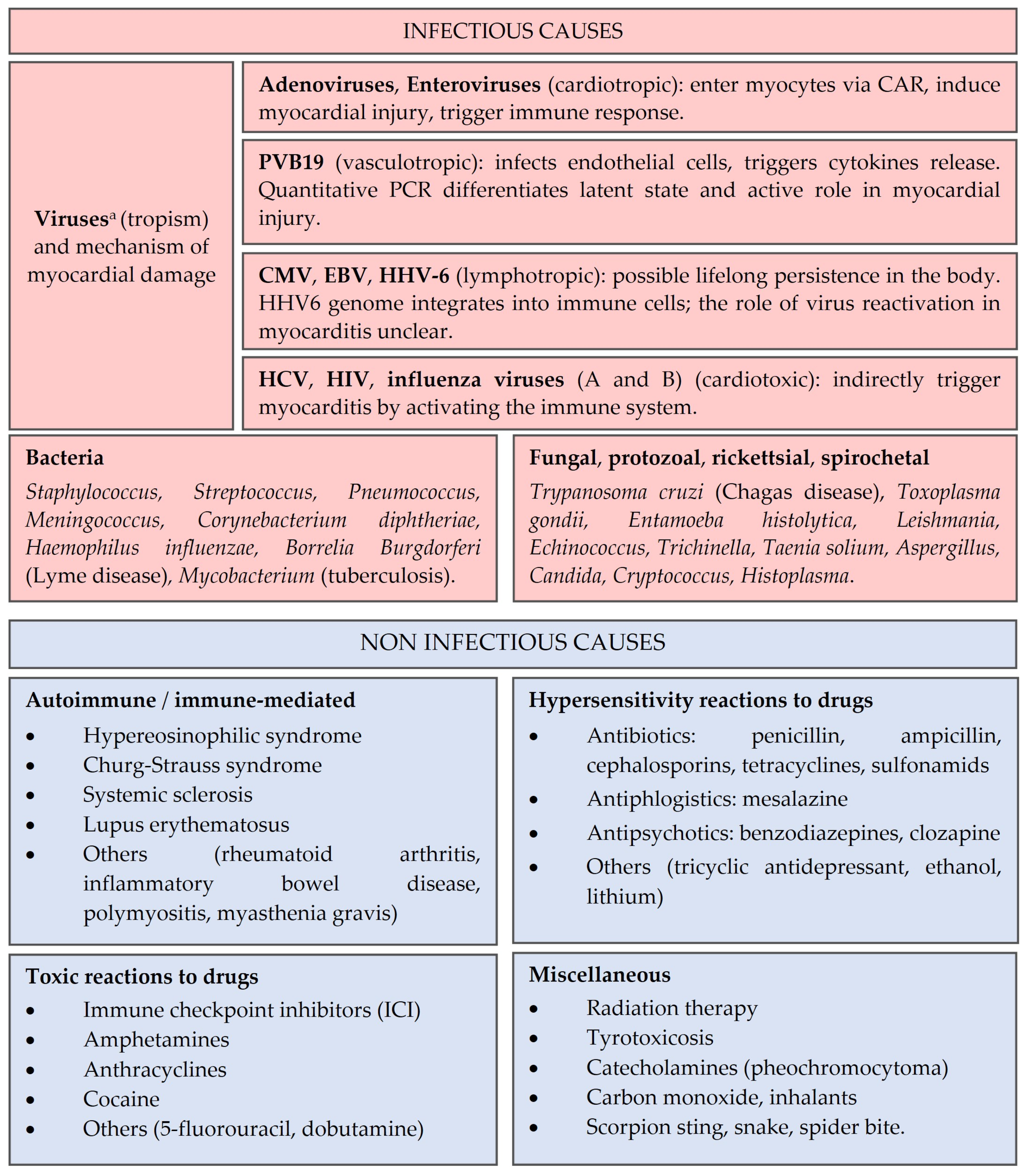 Biomedicines 12 01156 g002