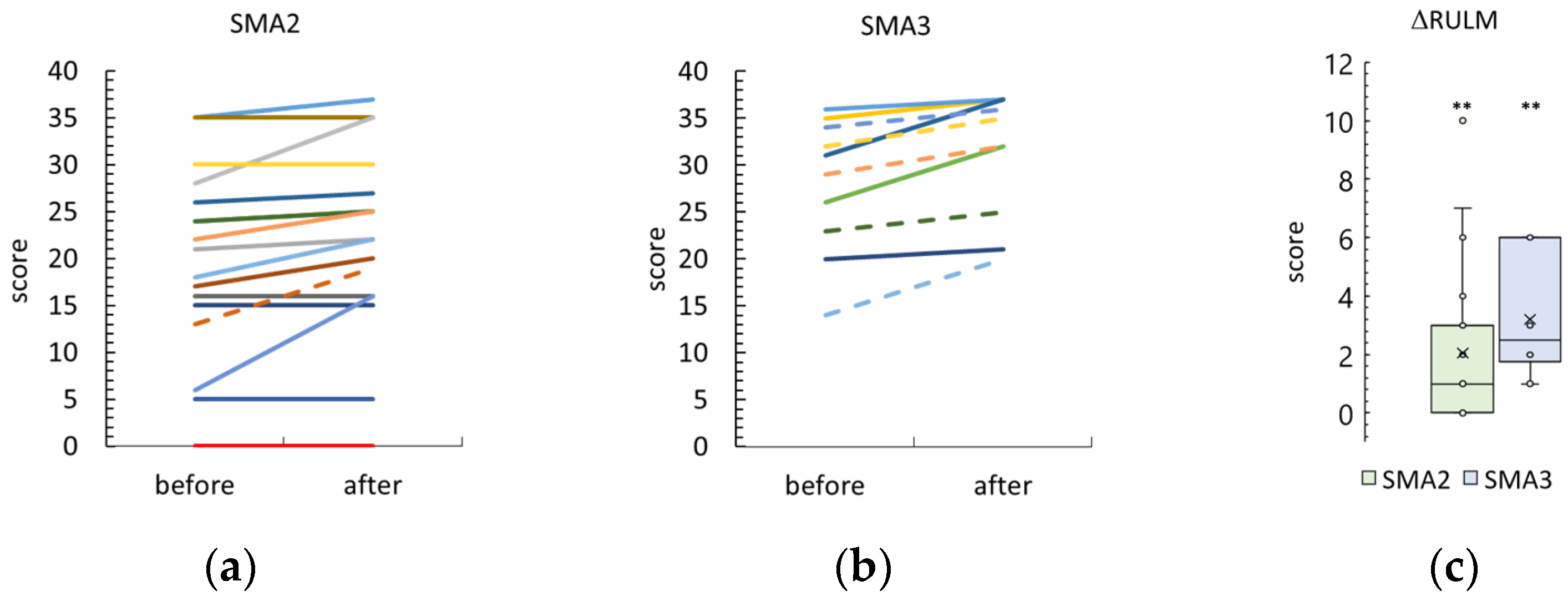 Biomedicines 12 01162 g002