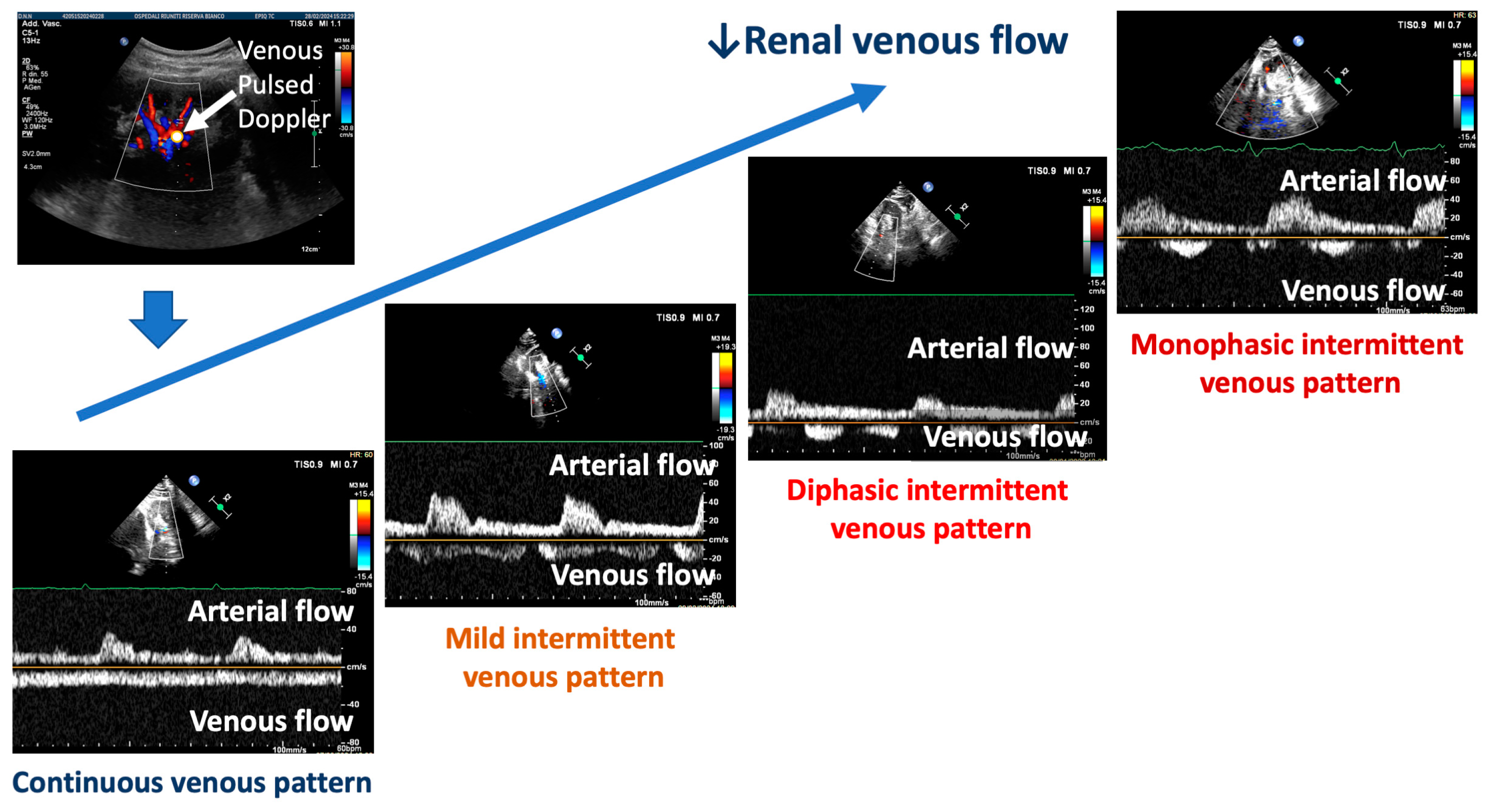Biomedicines 12 01166 g002