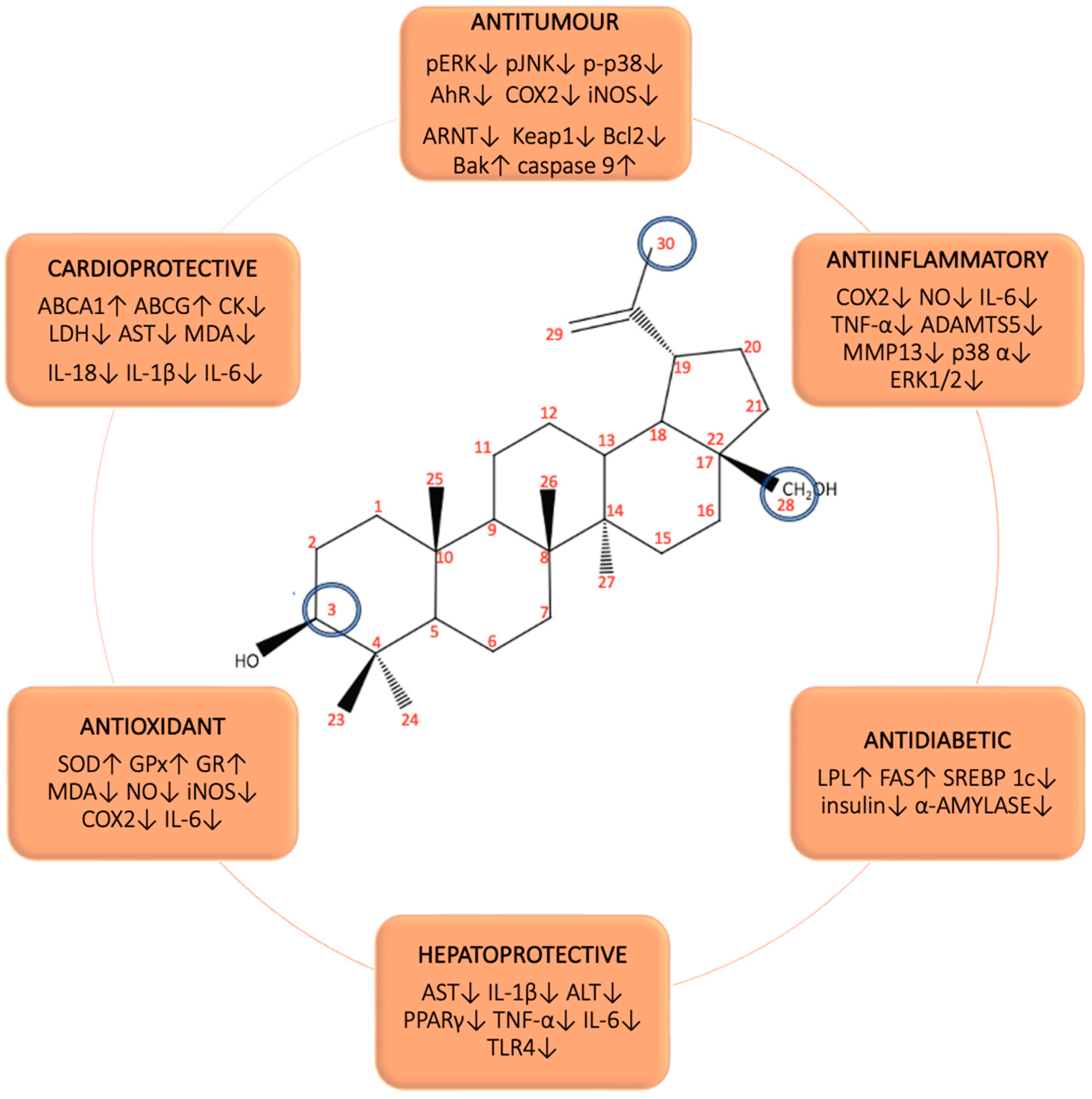 Biomedicines 12 01168 g001