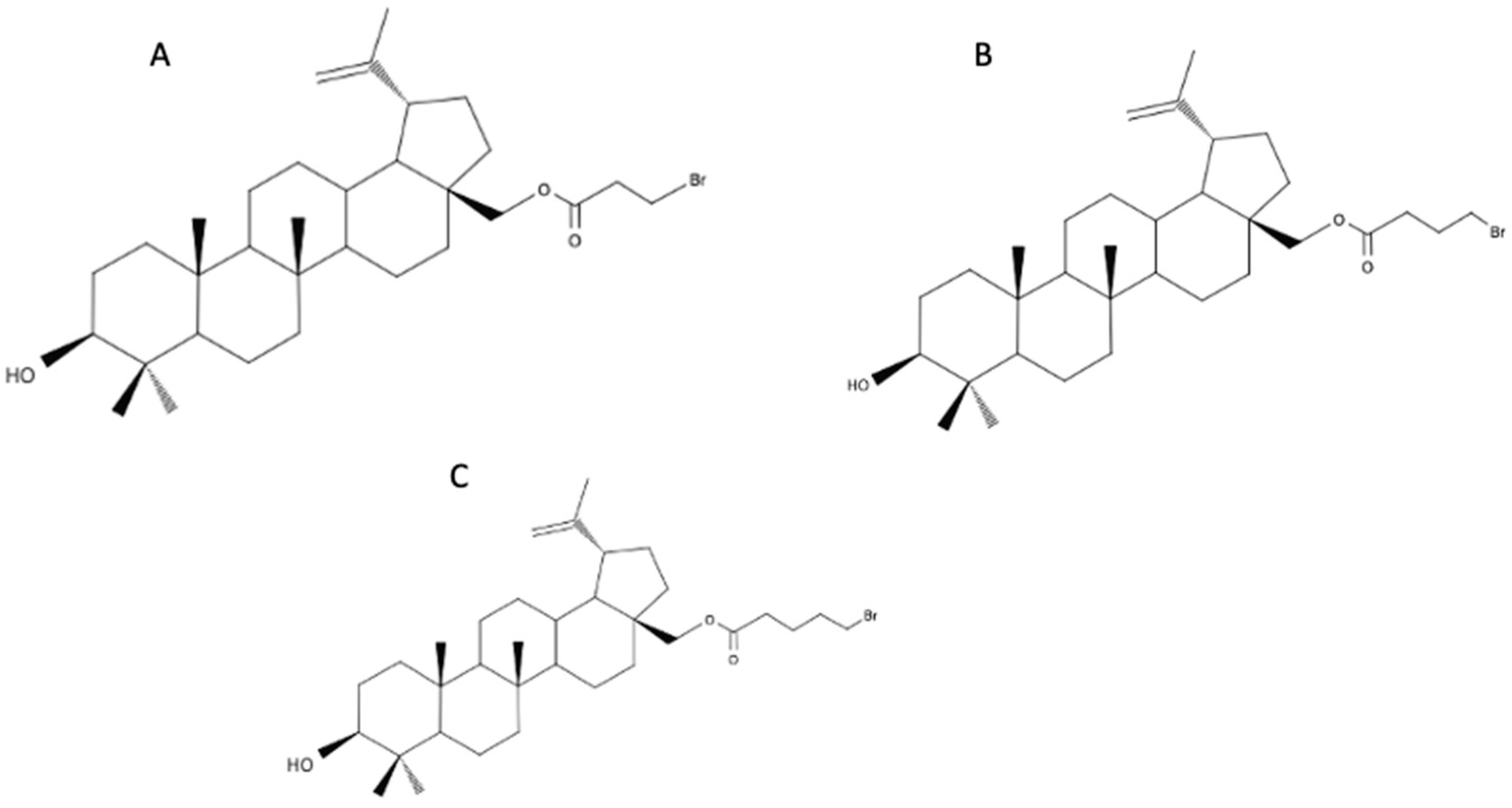 Biomedicines 12 01168 g008