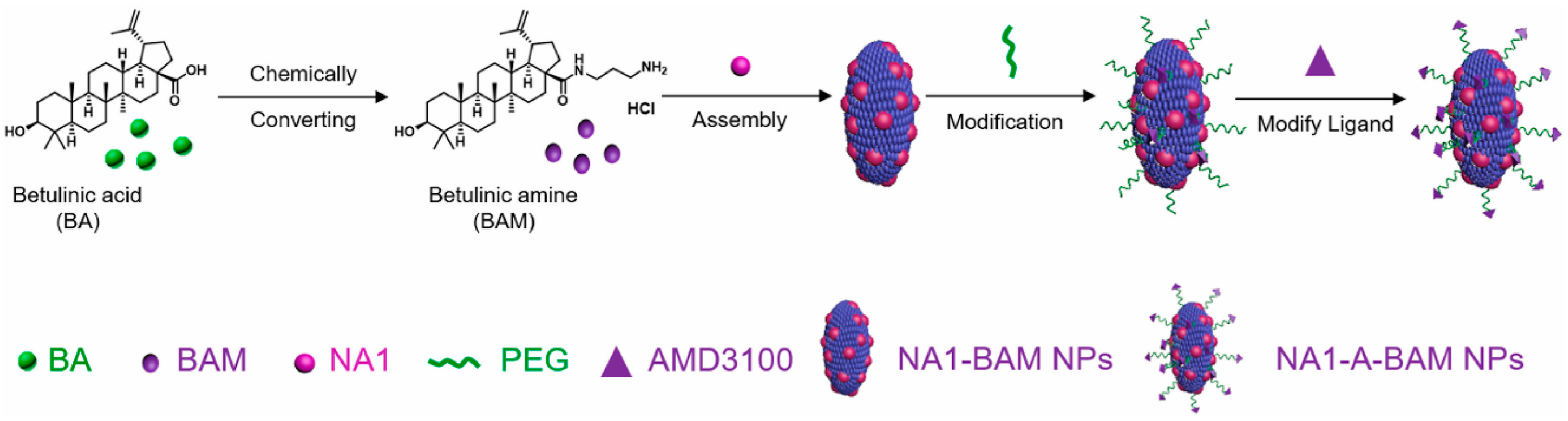 Biomedicines 12 01168 g013
