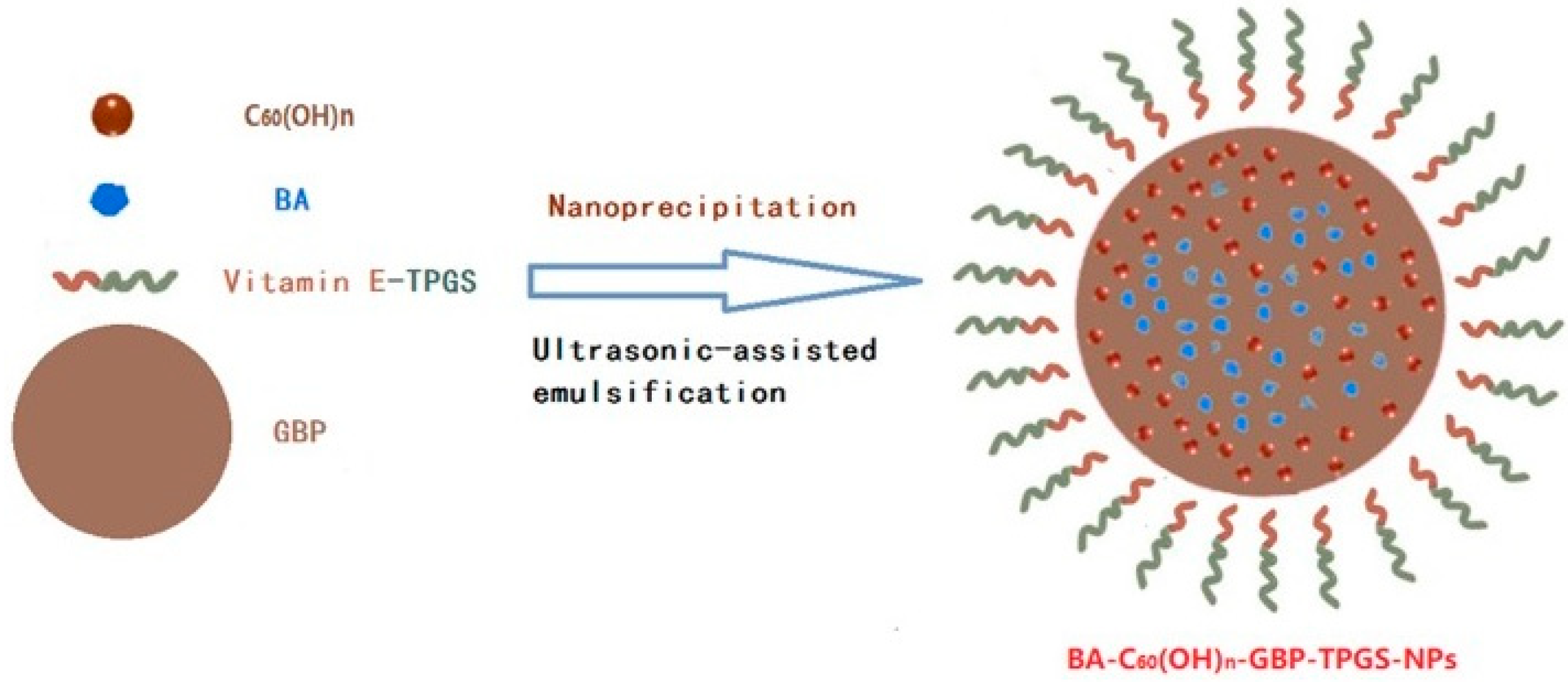 Biomedicines 12 01168 g016