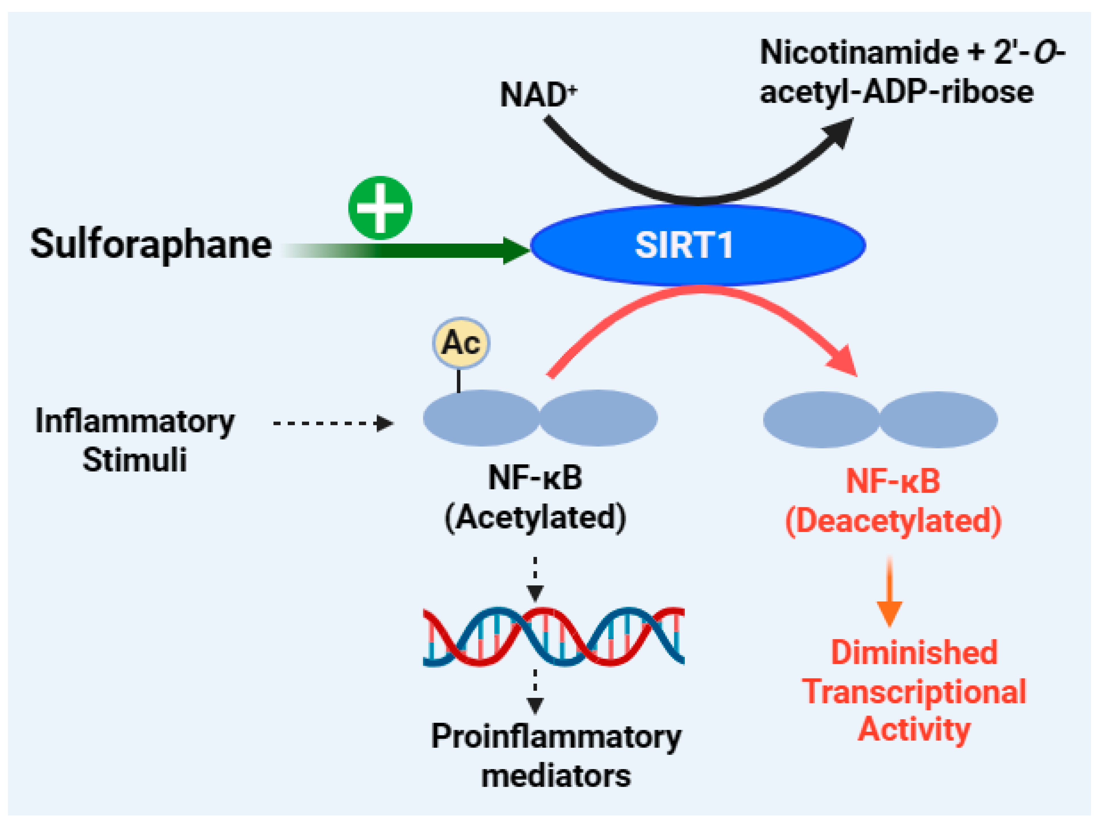Biomedicines 12 01169 g007
