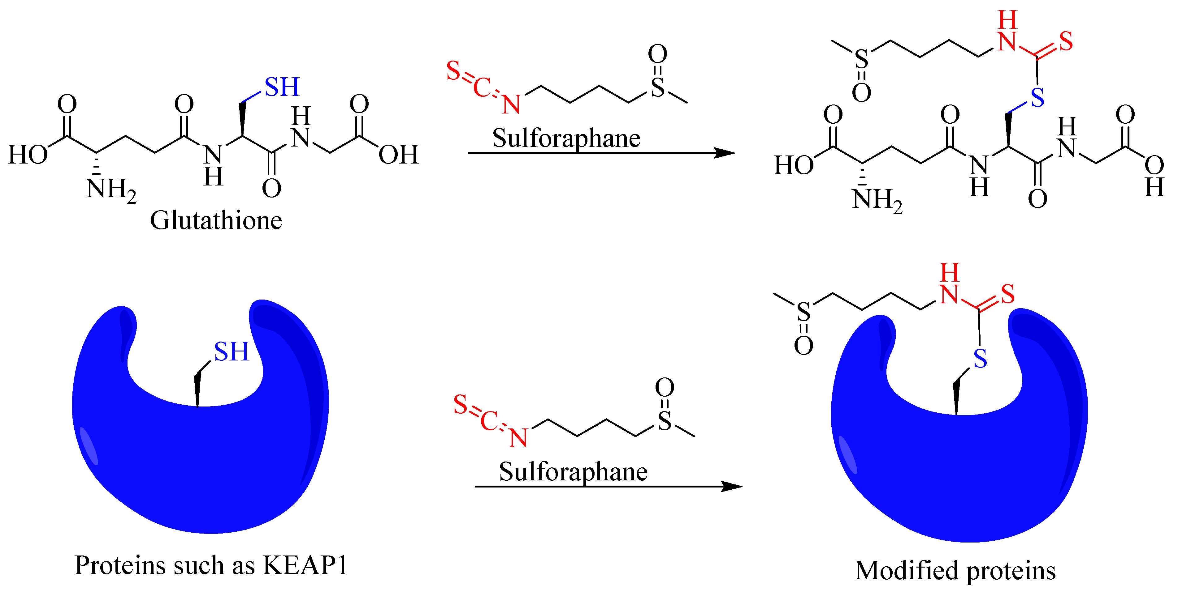 Biomedicines 12 01169 g008