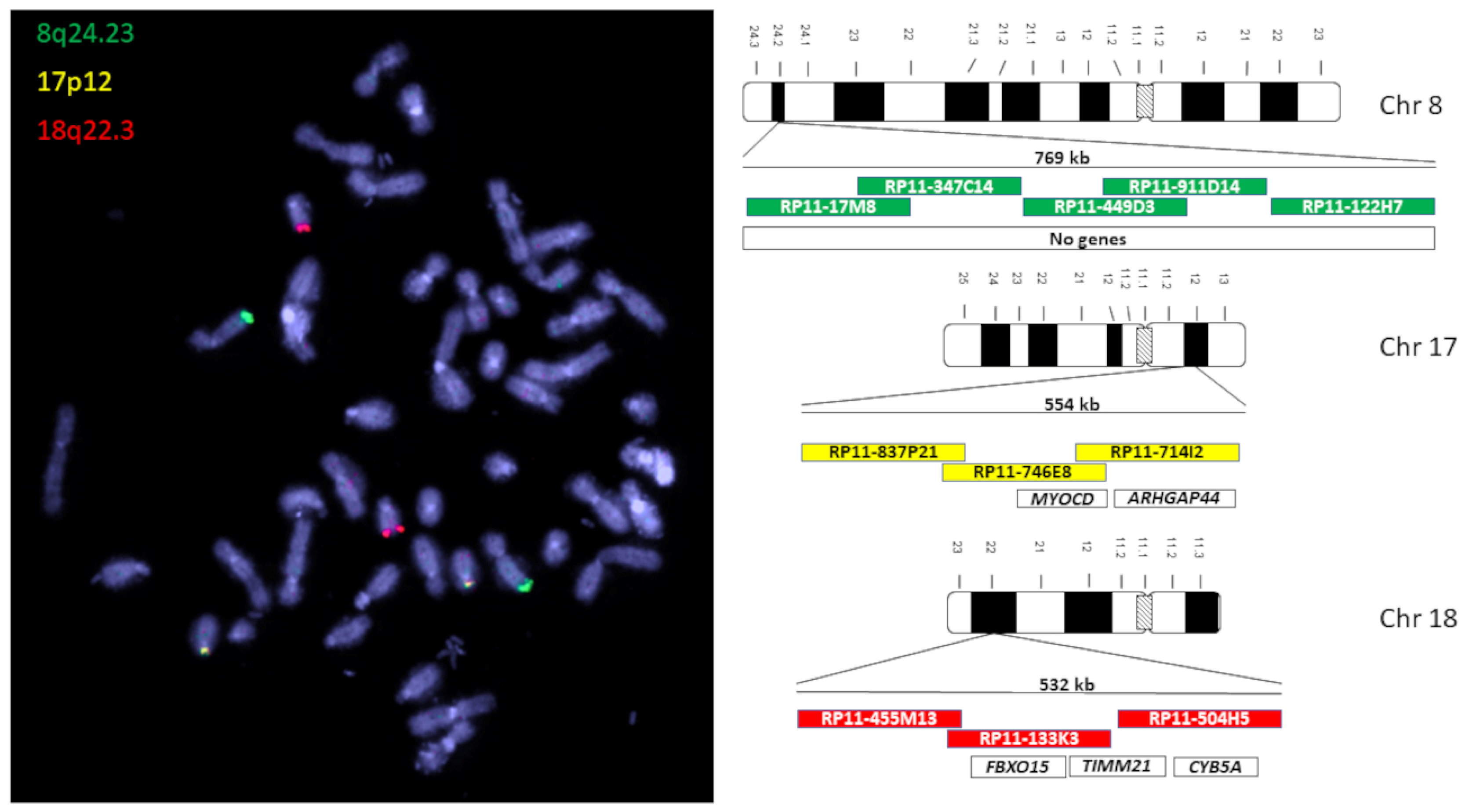 Biomedicines 12 01171 g002