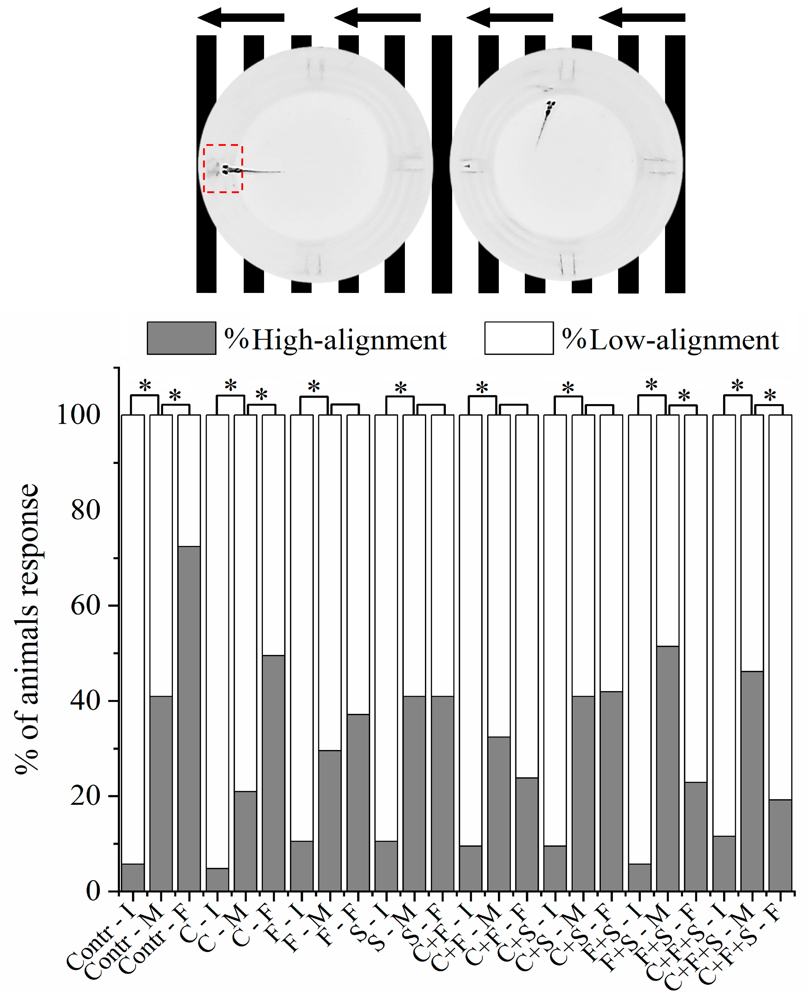 Biomedicines 12 01176 g005
