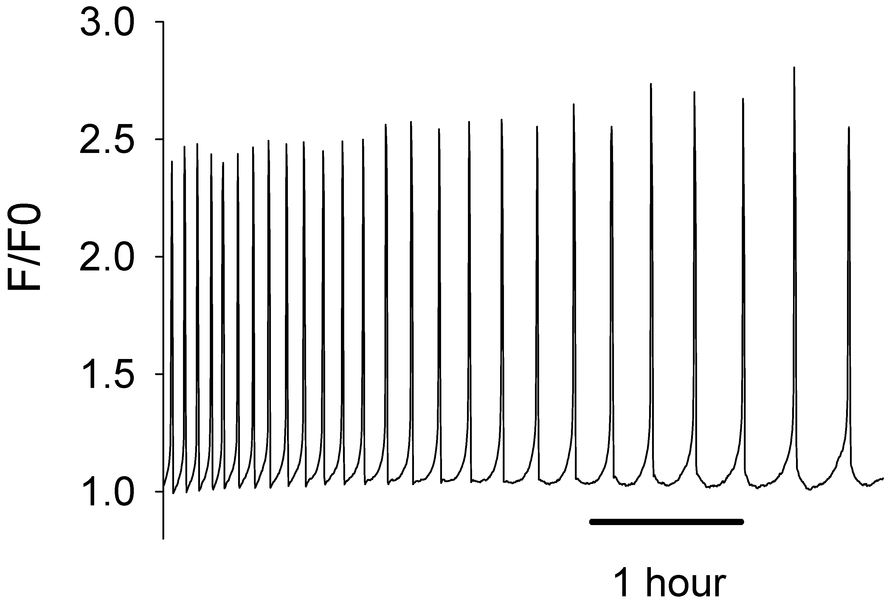 Biomedicines 12 01183 g001
