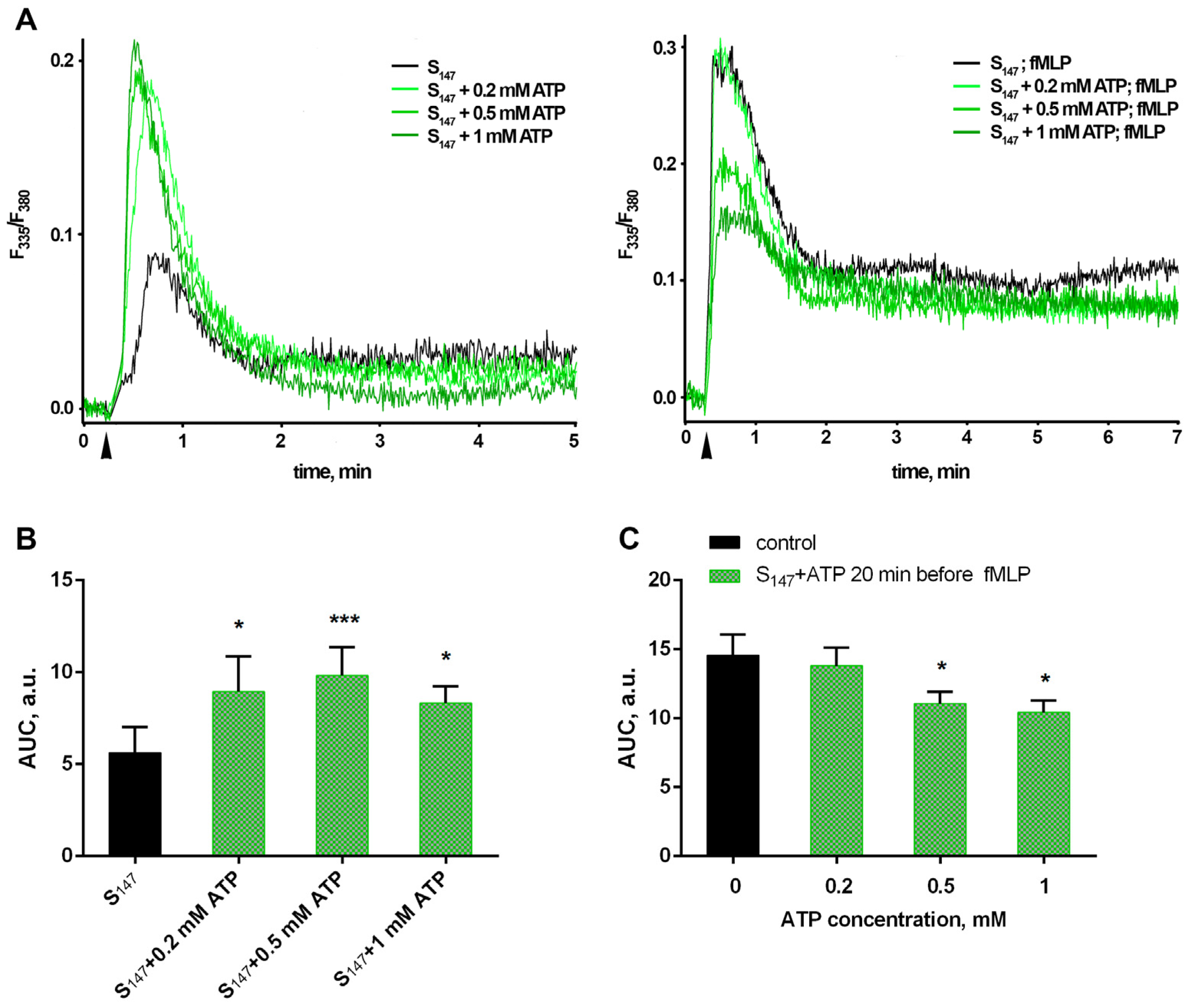 Biomedicines 12 01184 g002