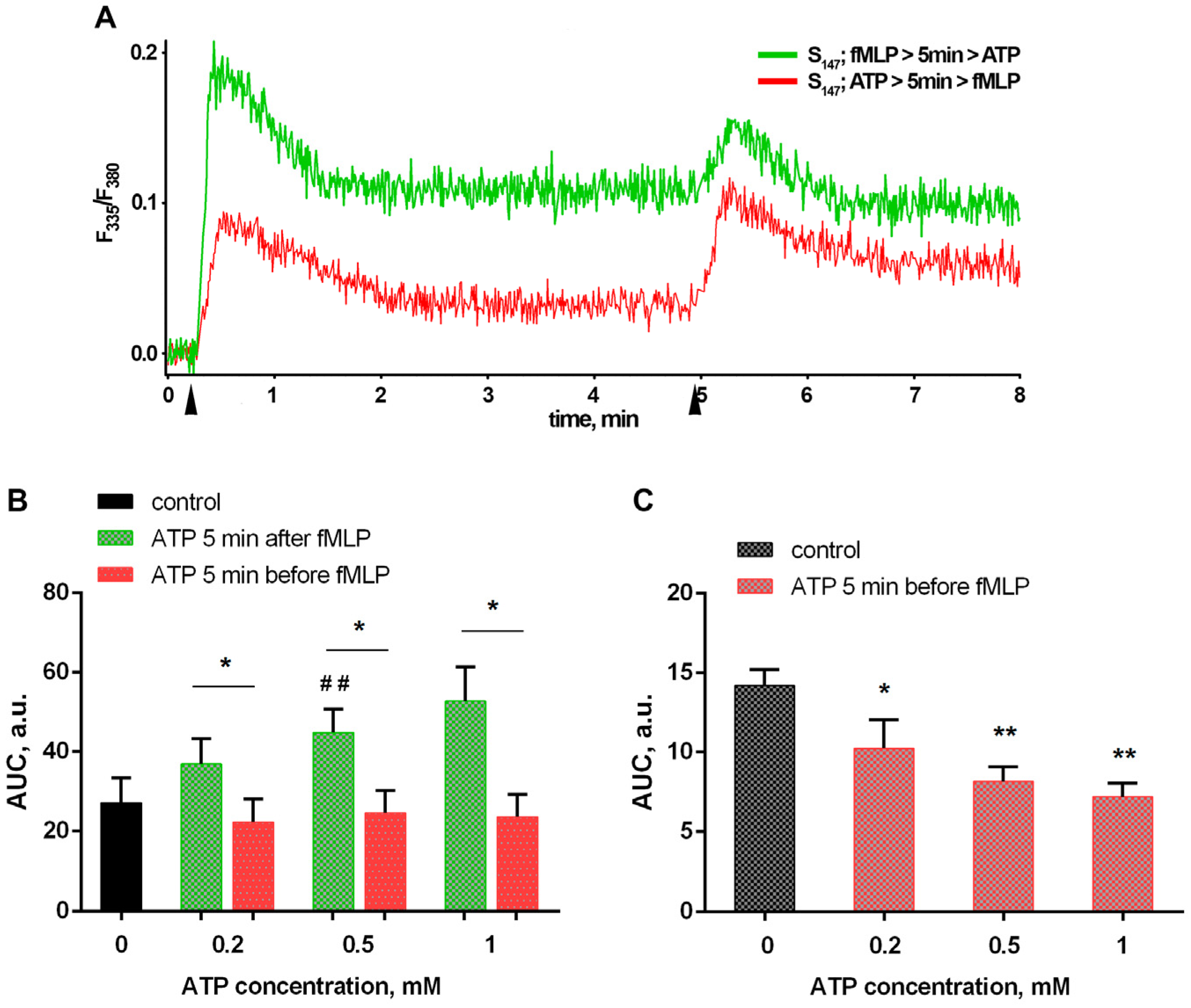 Biomedicines 12 01184 g003