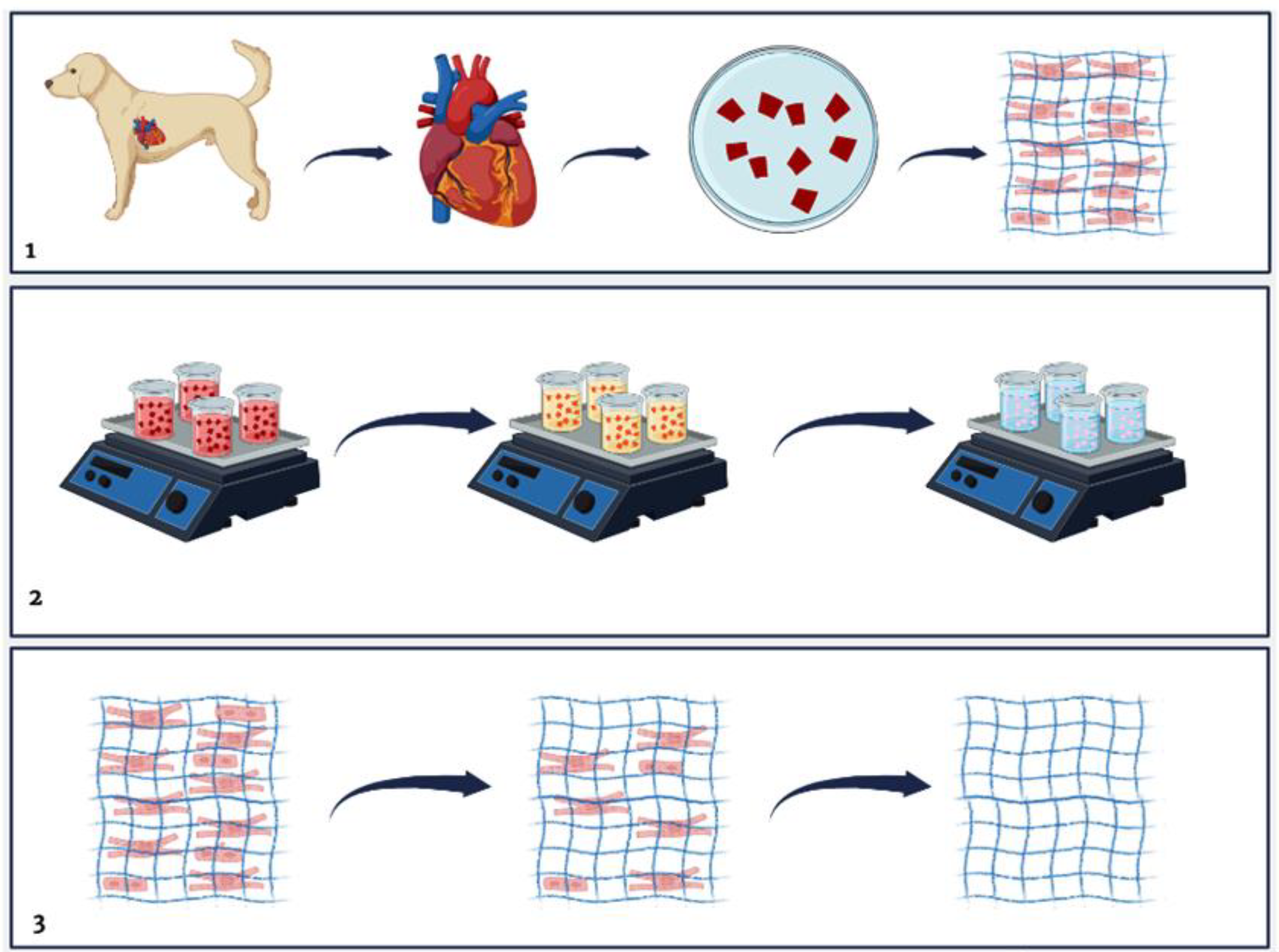 Biomedicines 12 01190 g001