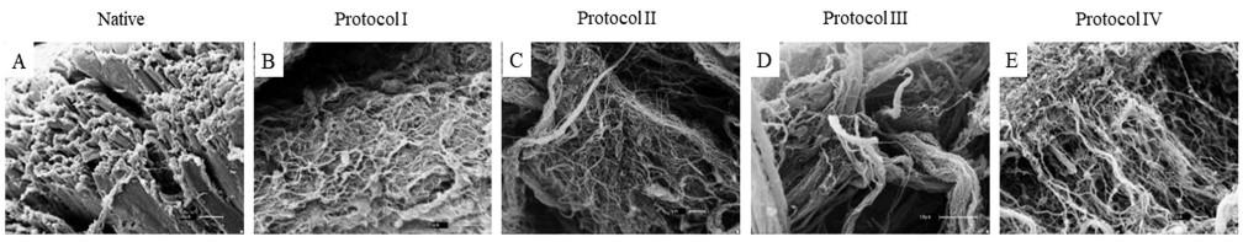 Biomedicines 12 01190 g006
