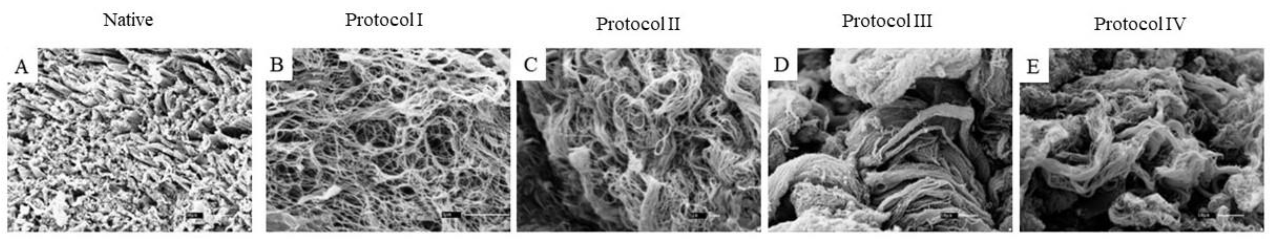 Biomedicines 12 01190 g007