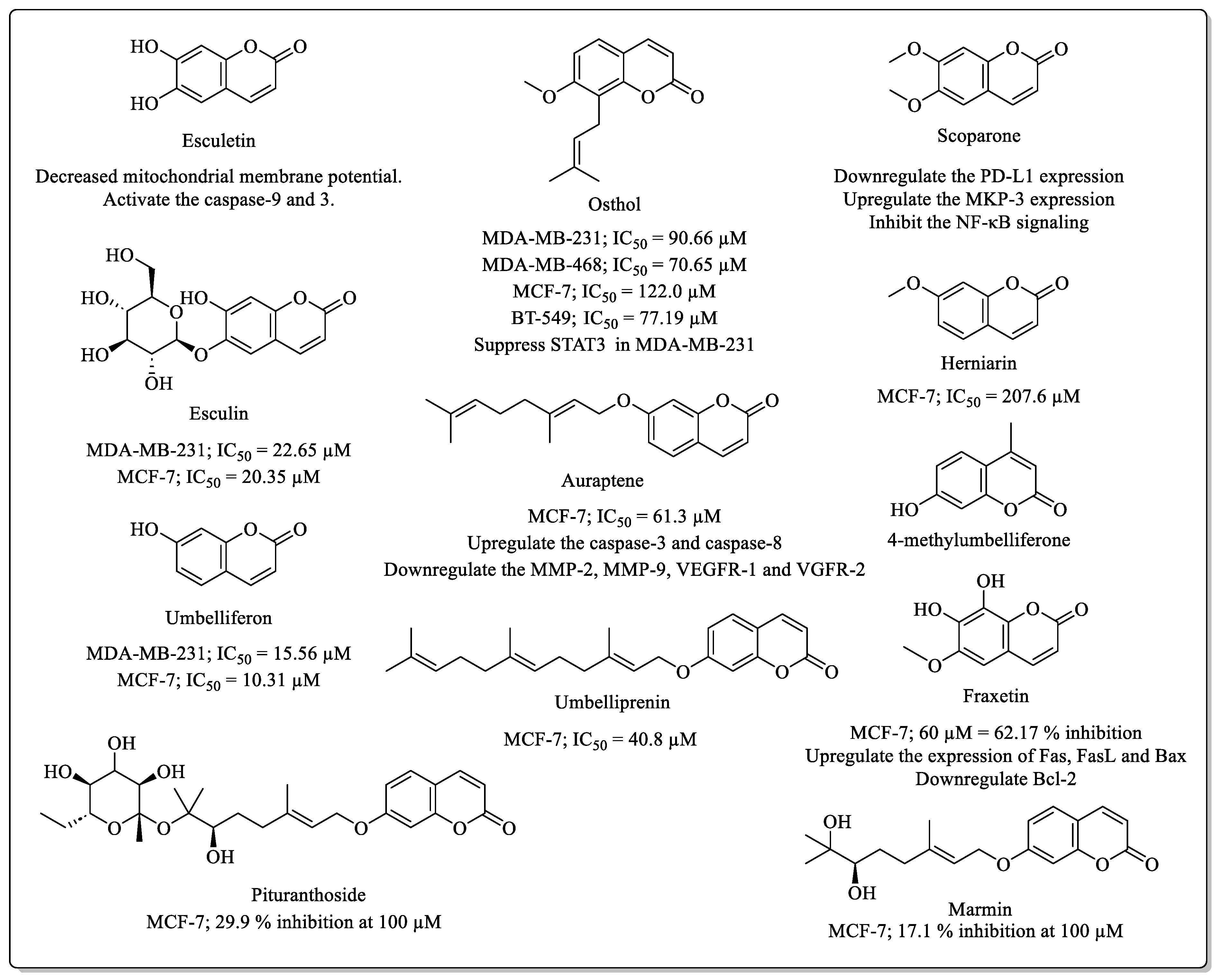 Biomedicines 12 01192 g001