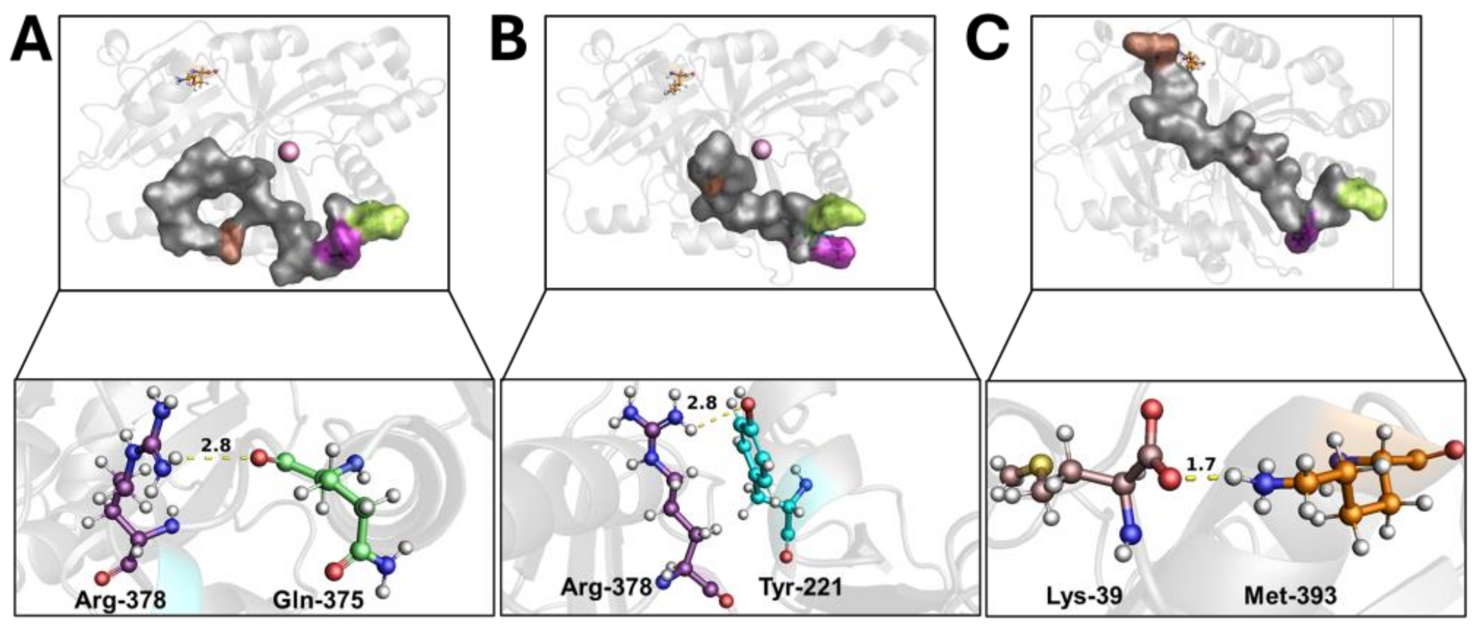 Biomedicines 12 01196 g002 Biomedicines 12 01196 g002