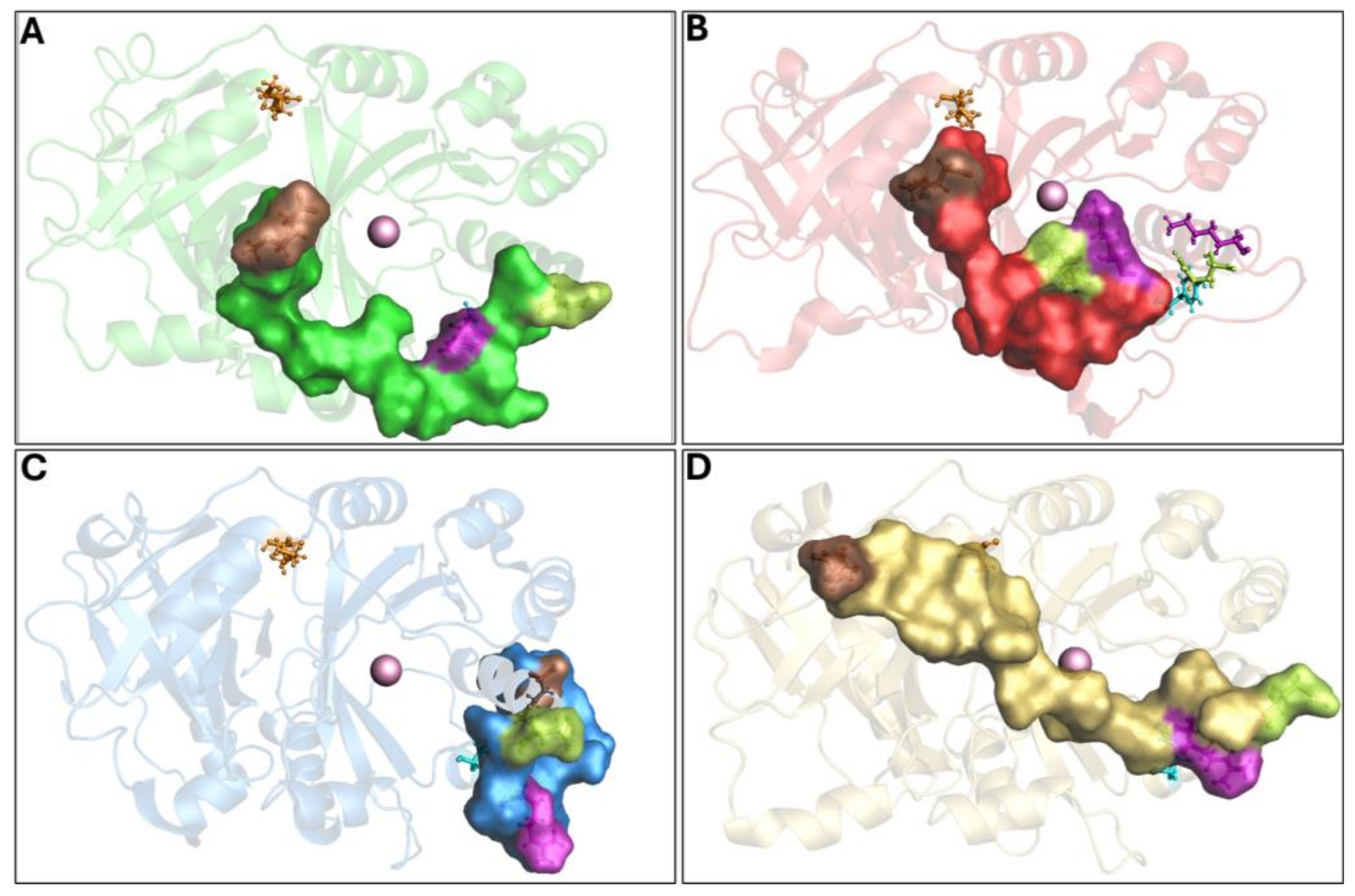Biomedicines 12 01196 g003 Biomedicines 12 01196 g003