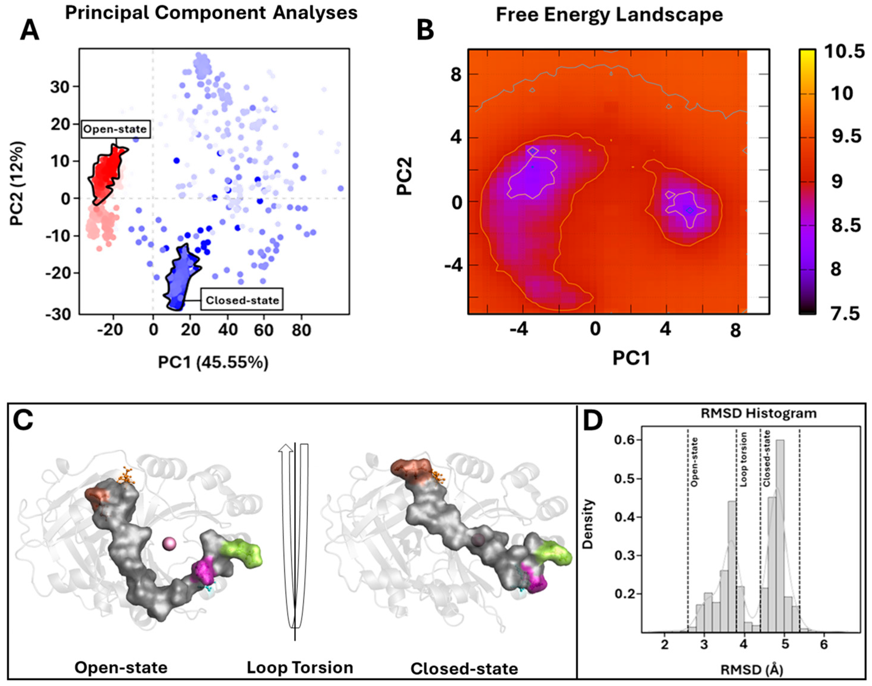 Biomedicines 12 01196 g004 Biomedicines 12 01196 g004