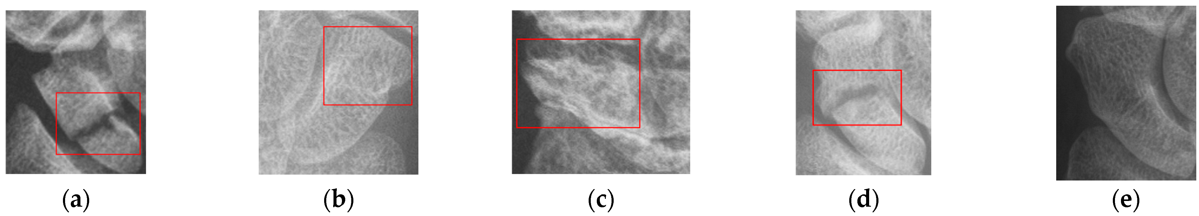 Biomedicines 12 01198 g001