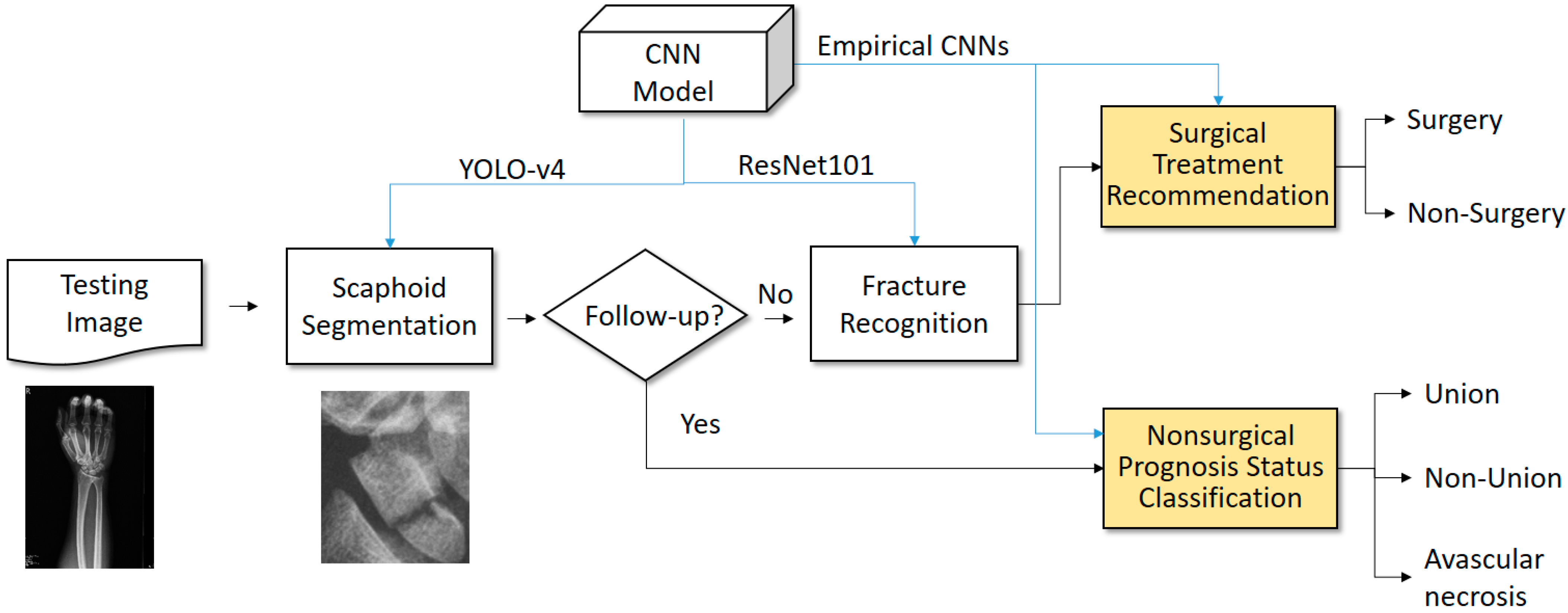 Biomedicines 12 01198 g003