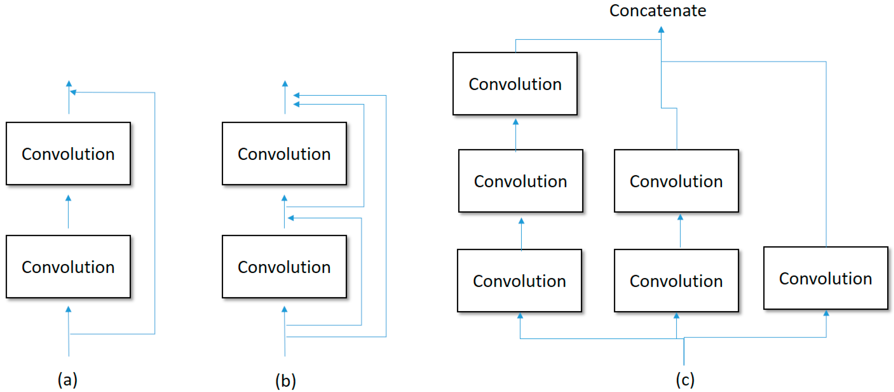 Biomedicines 12 01198 g005