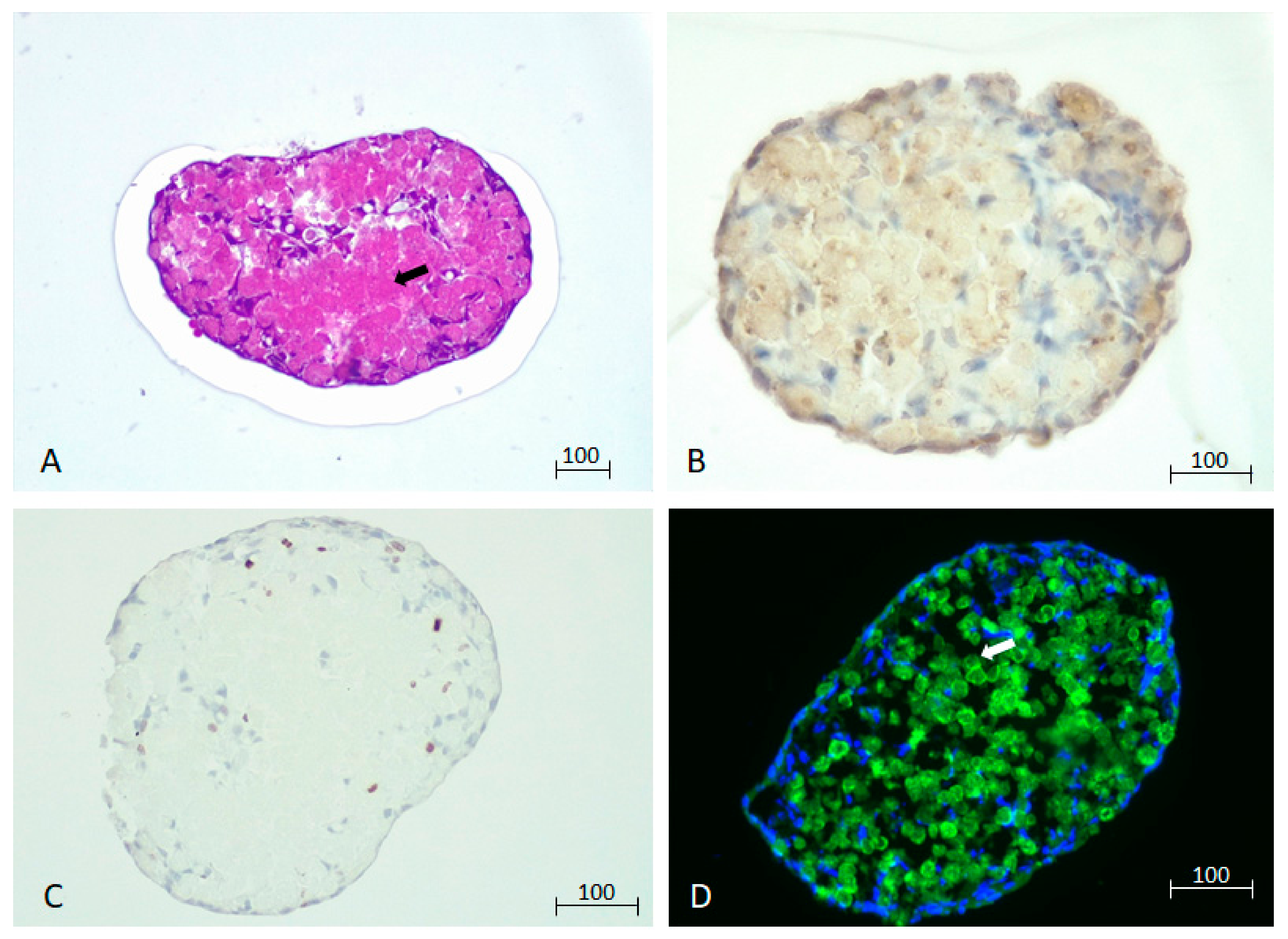 Biomedicines 12 01200 g002