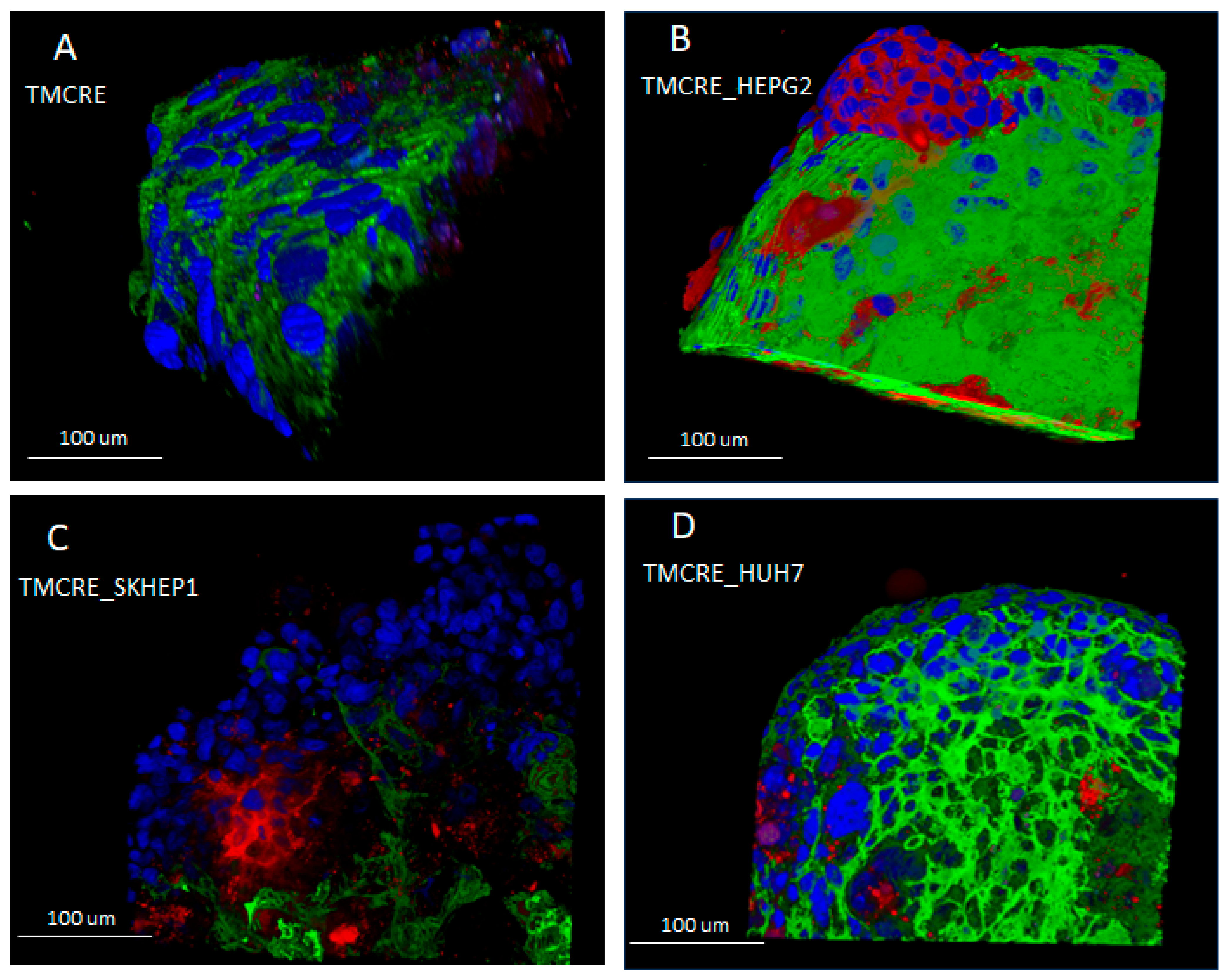 Biomedicines 12 01200 g005
