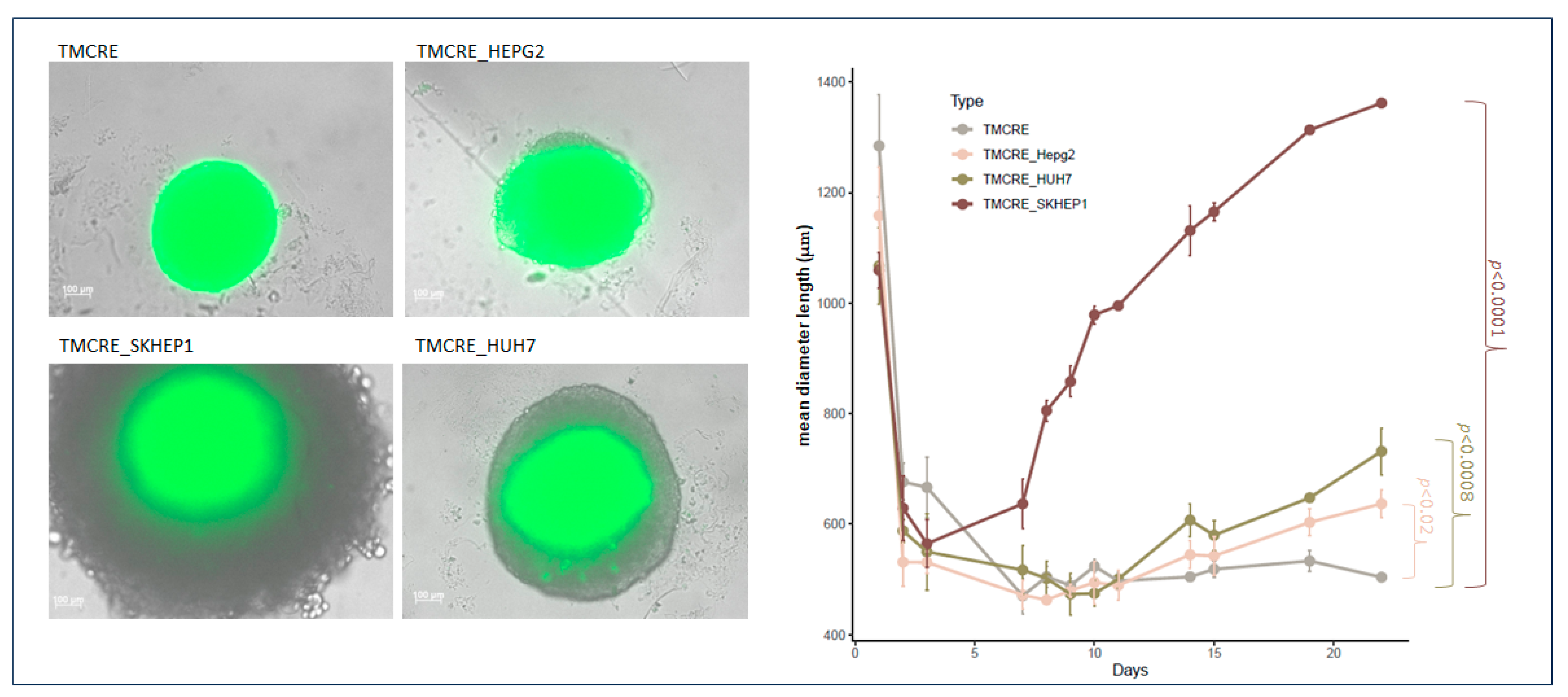 Biomedicines 12 01200 g006