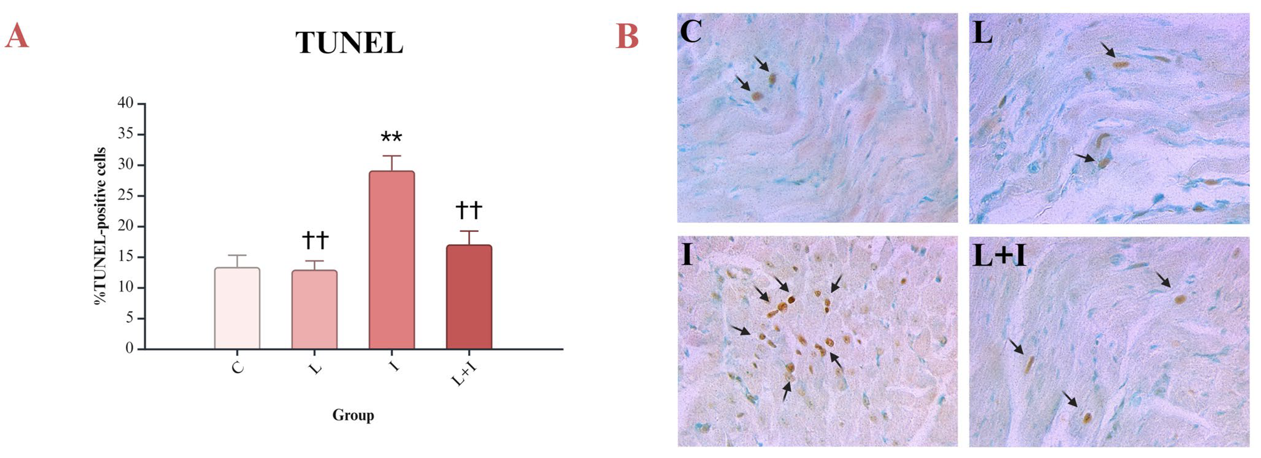 Biomedicines 12 01207 g002