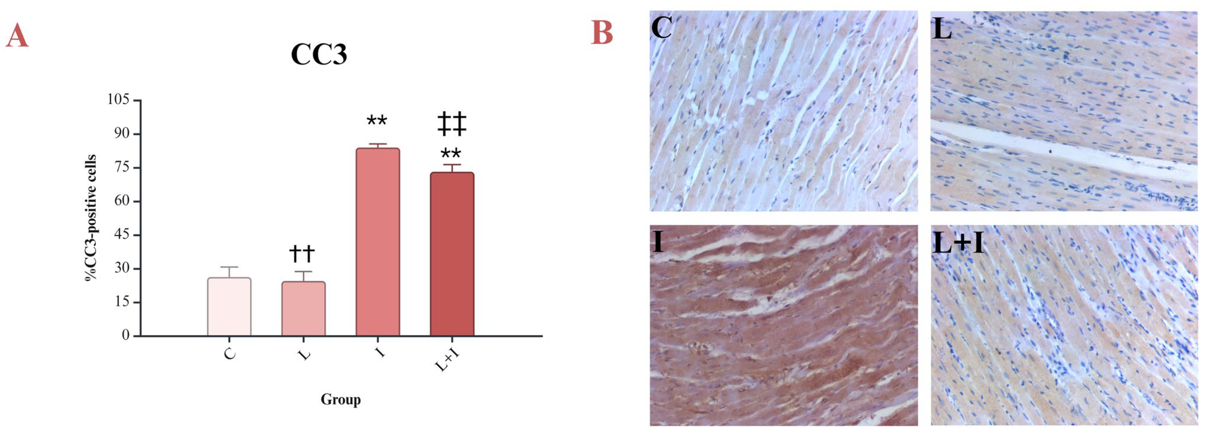 Biomedicines 12 01207 g004