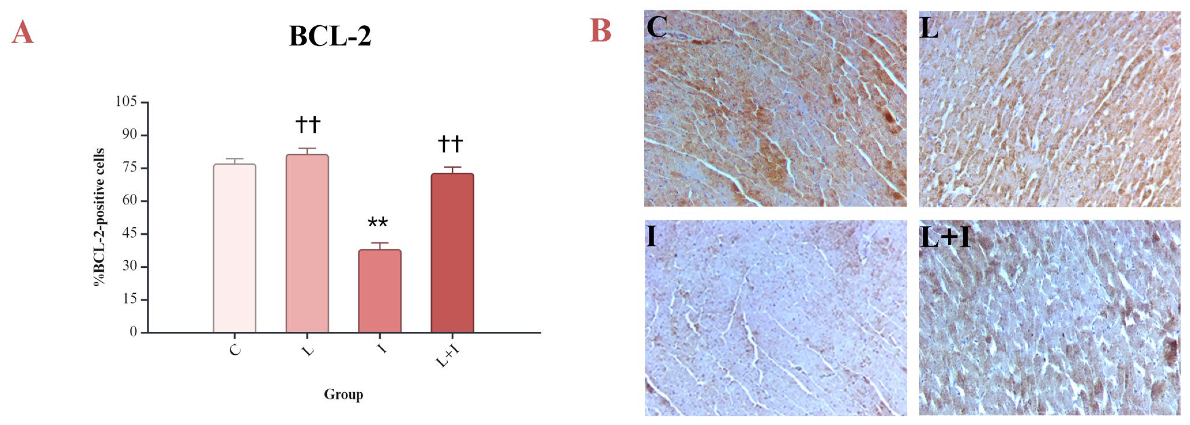 Biomedicines 12 01207 g005