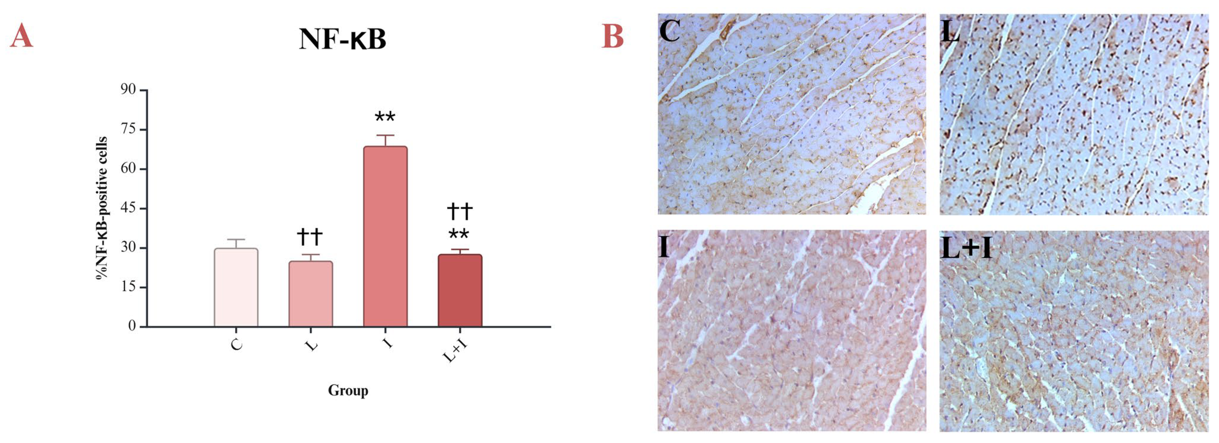 Biomedicines 12 01207 g006