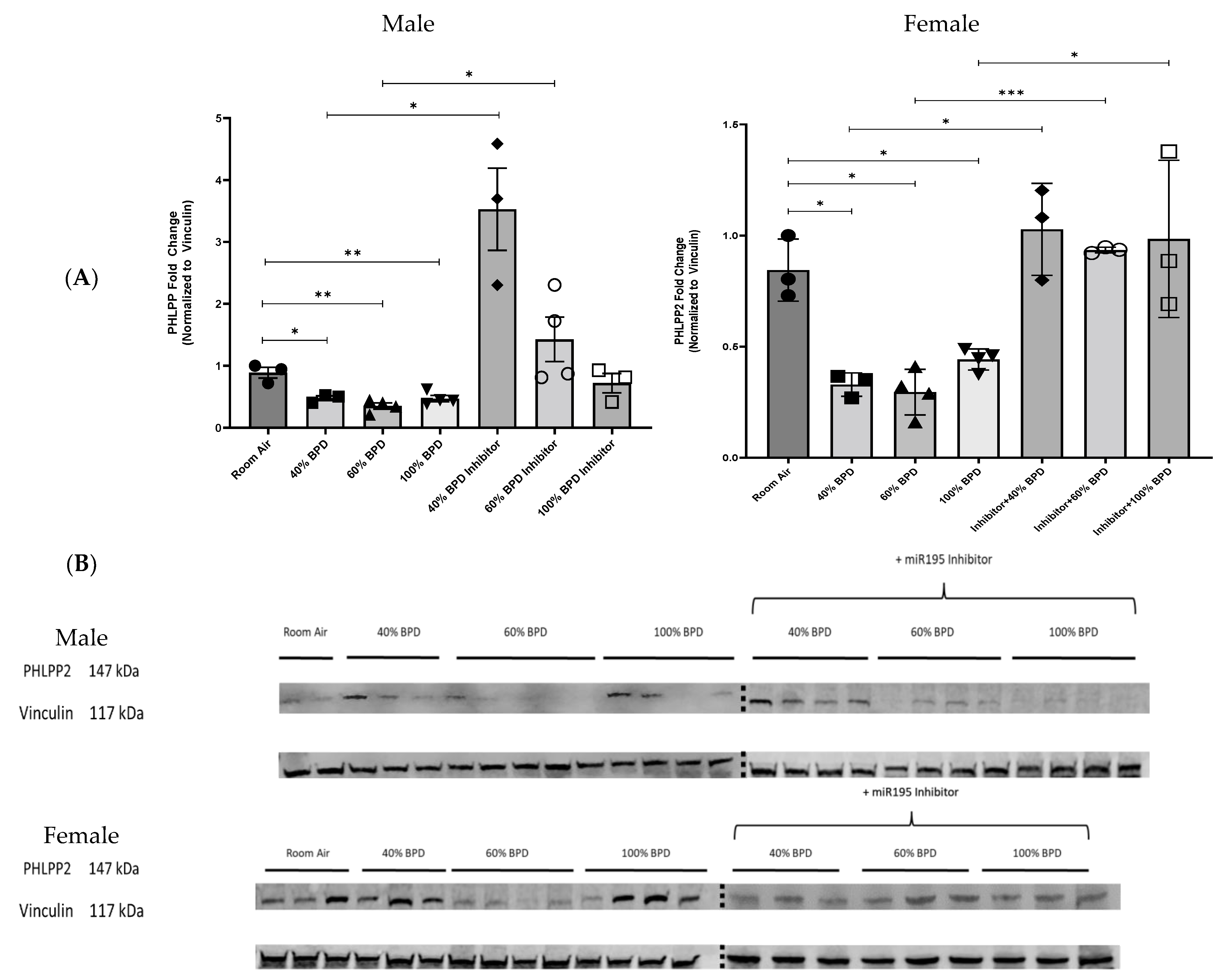 Biomedicines 12 01208 g002