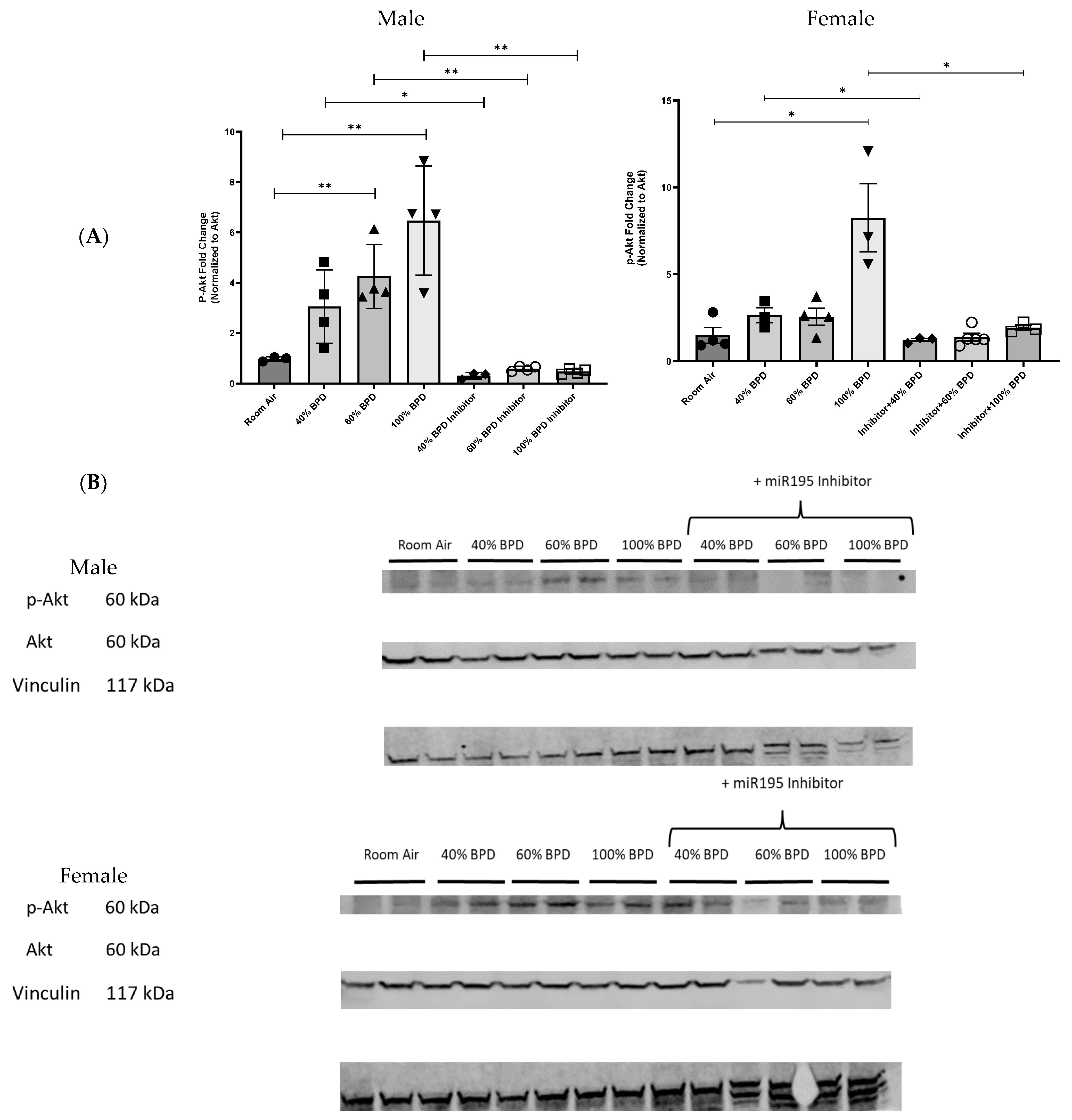 Biomedicines 12 01208 g003