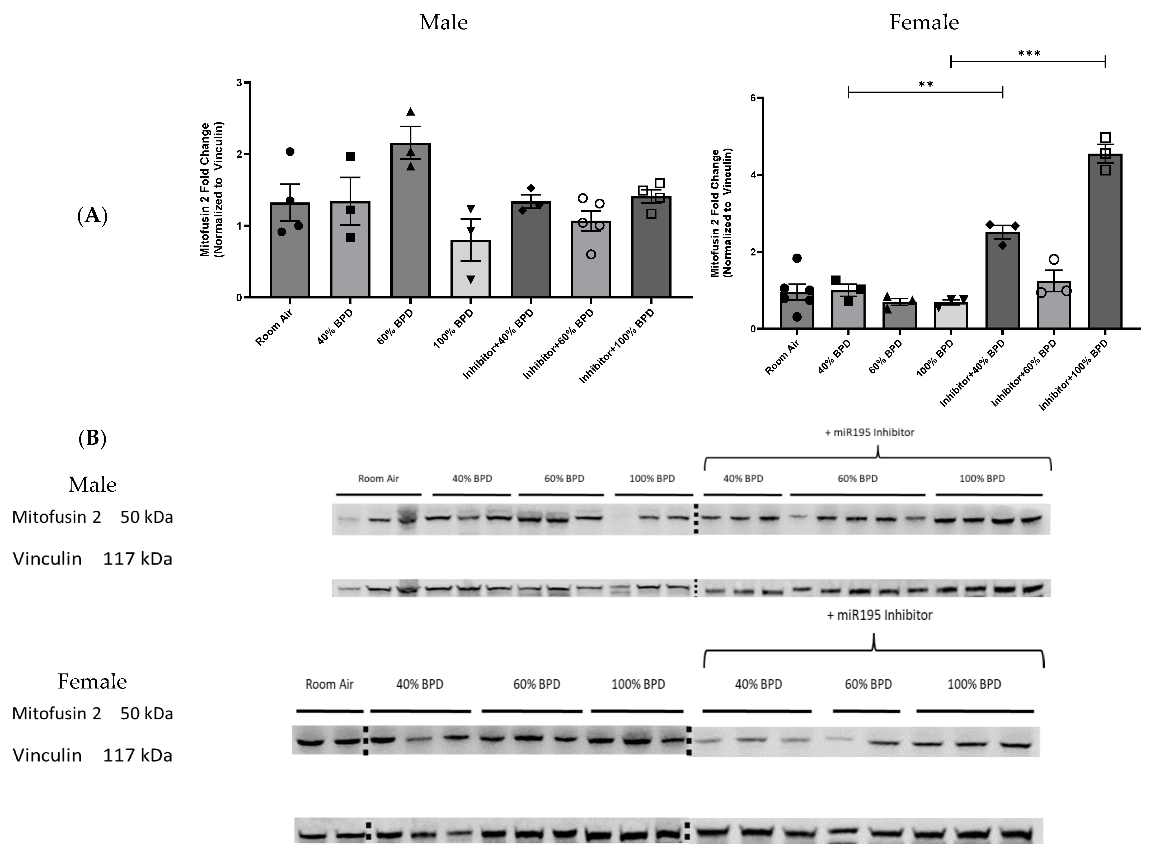 Biomedicines 12 01208 g004