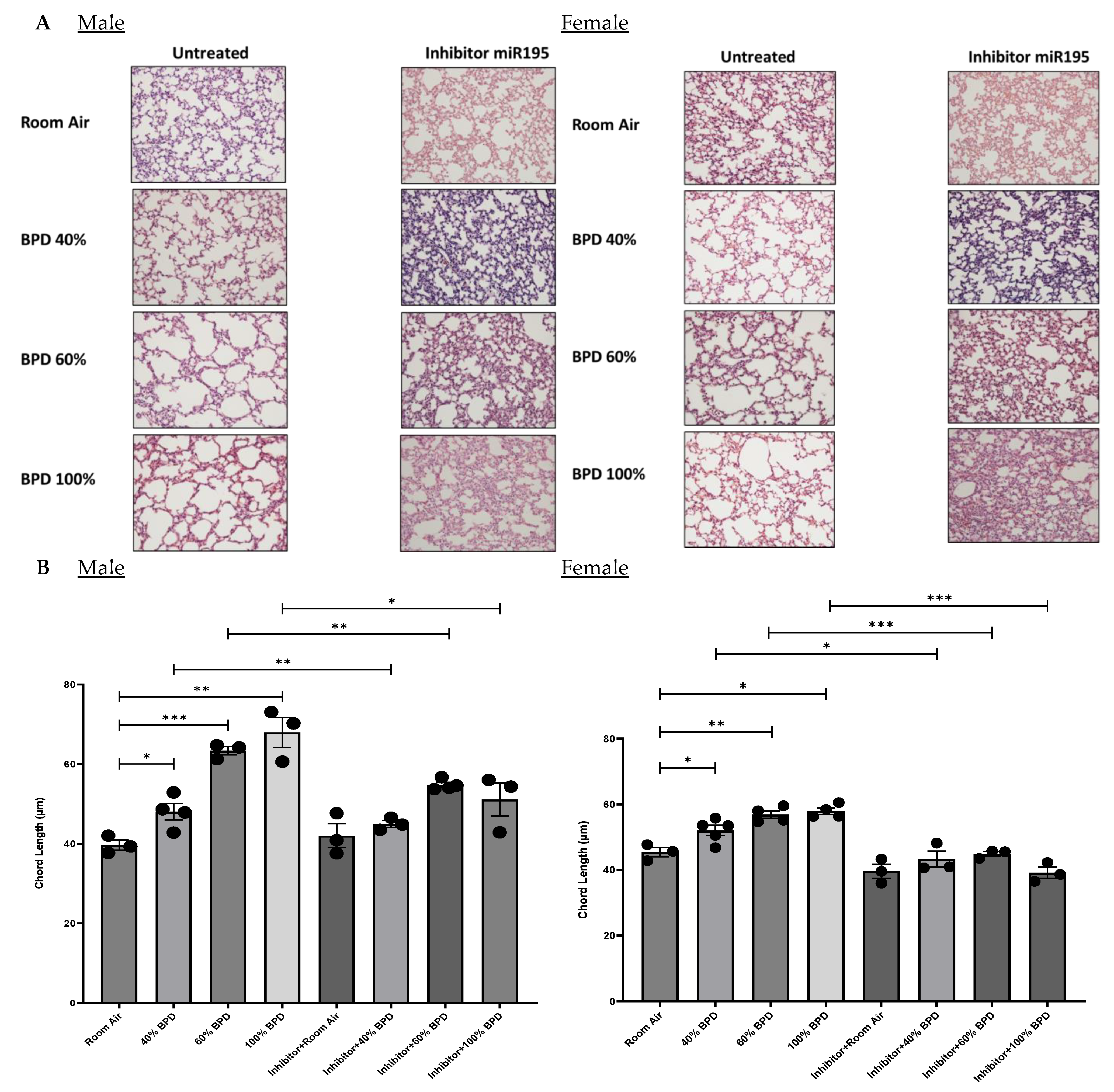 Biomedicines 12 01208 g006a
